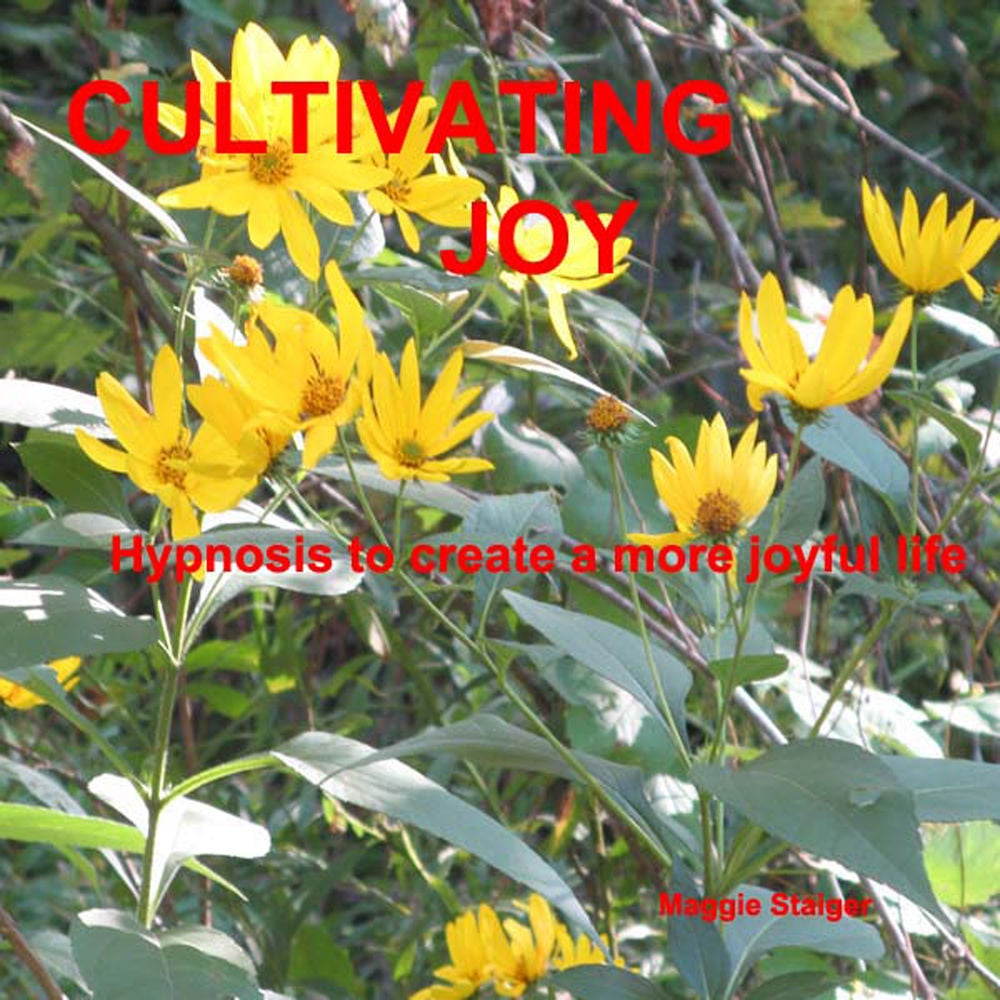 Cultivating Joy - Hypnosis to Create a More Joyful Life