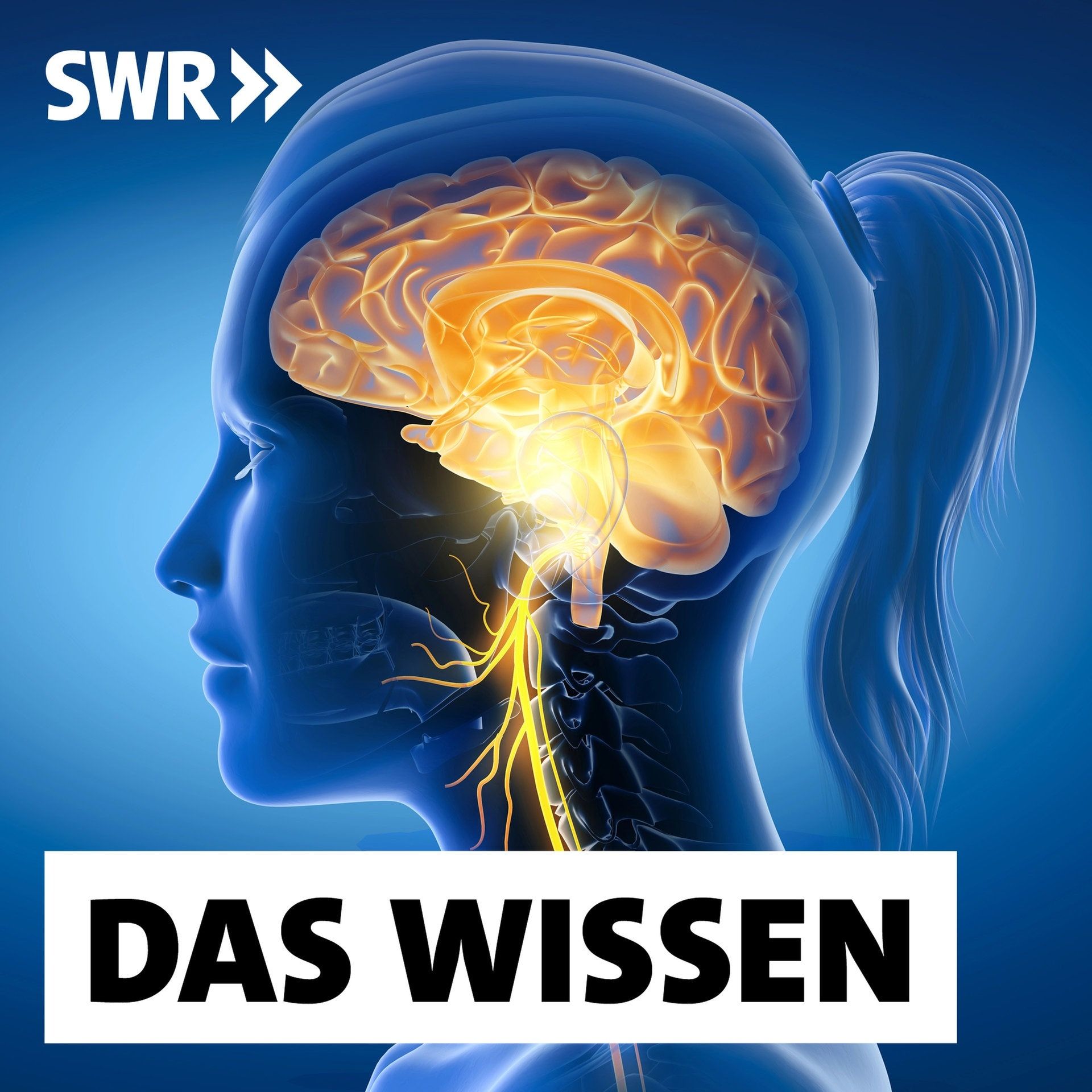 Hype um den Vagusnerv – Durch Stimulation zu mehr Gelassenheit?