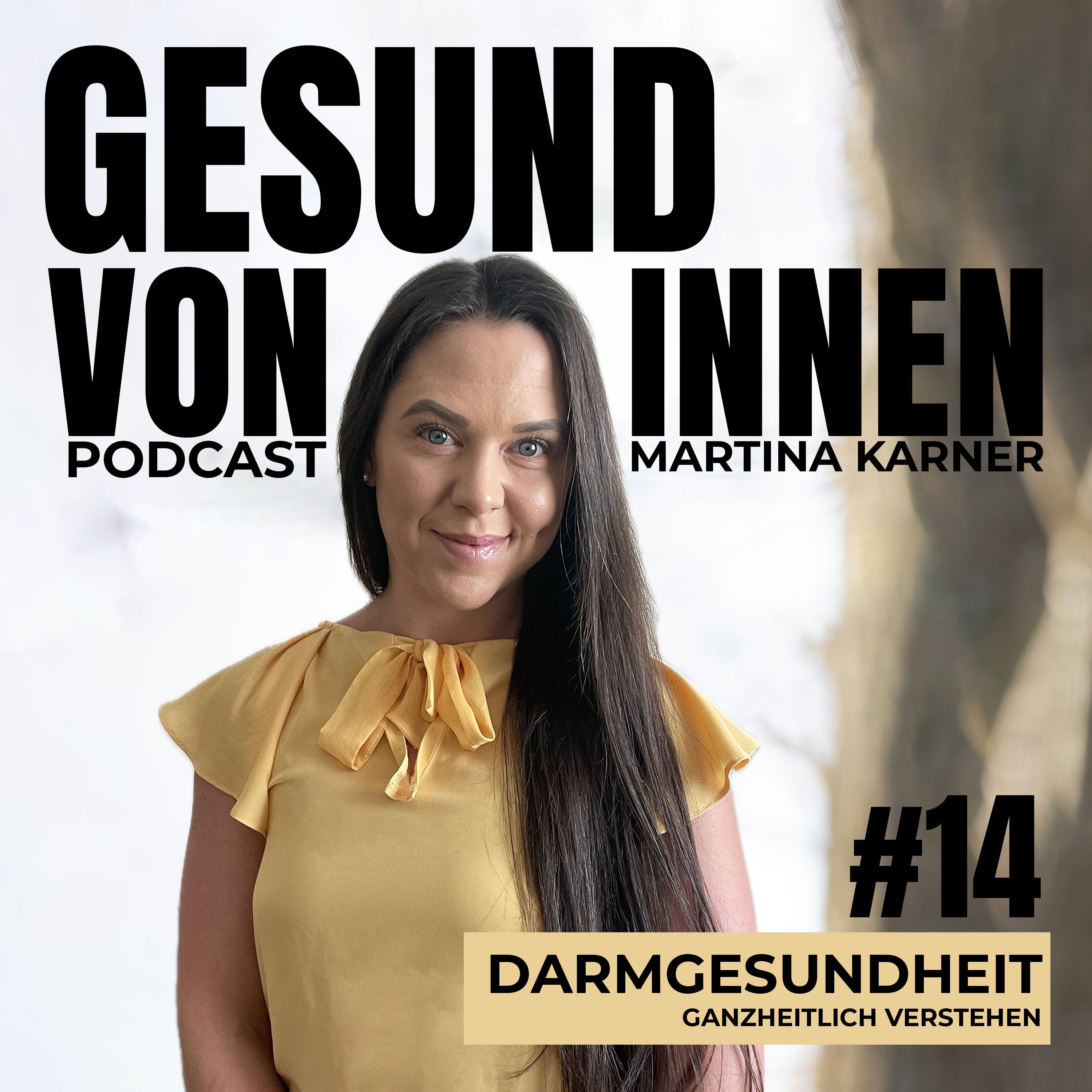 Darmgesundheit ganzheitlich verstehen