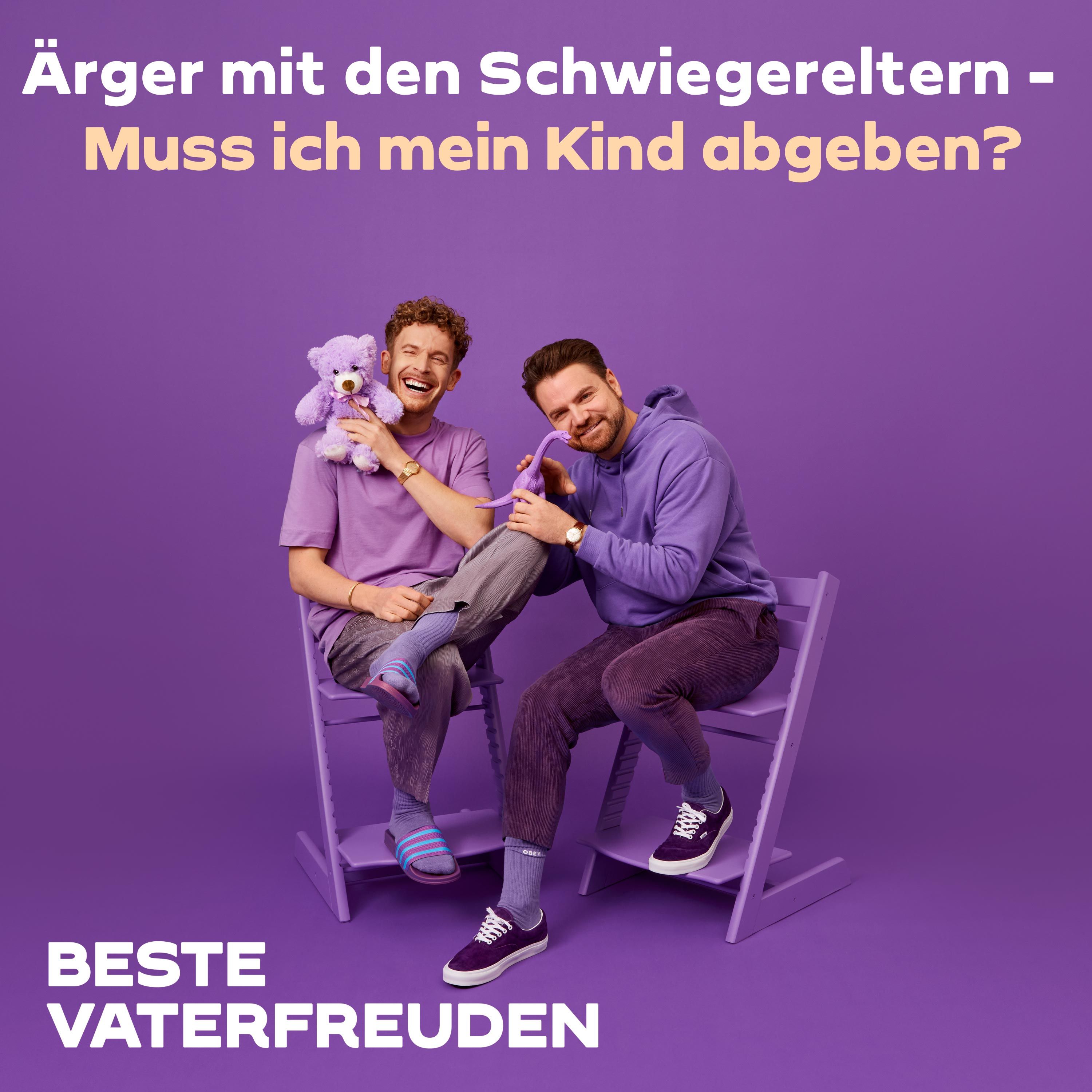 Ärger mit den Schwiegereltern - Muss ich mein Kind abgeben?