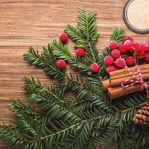 Das große Déjà-vu Adventkuscheln 2019