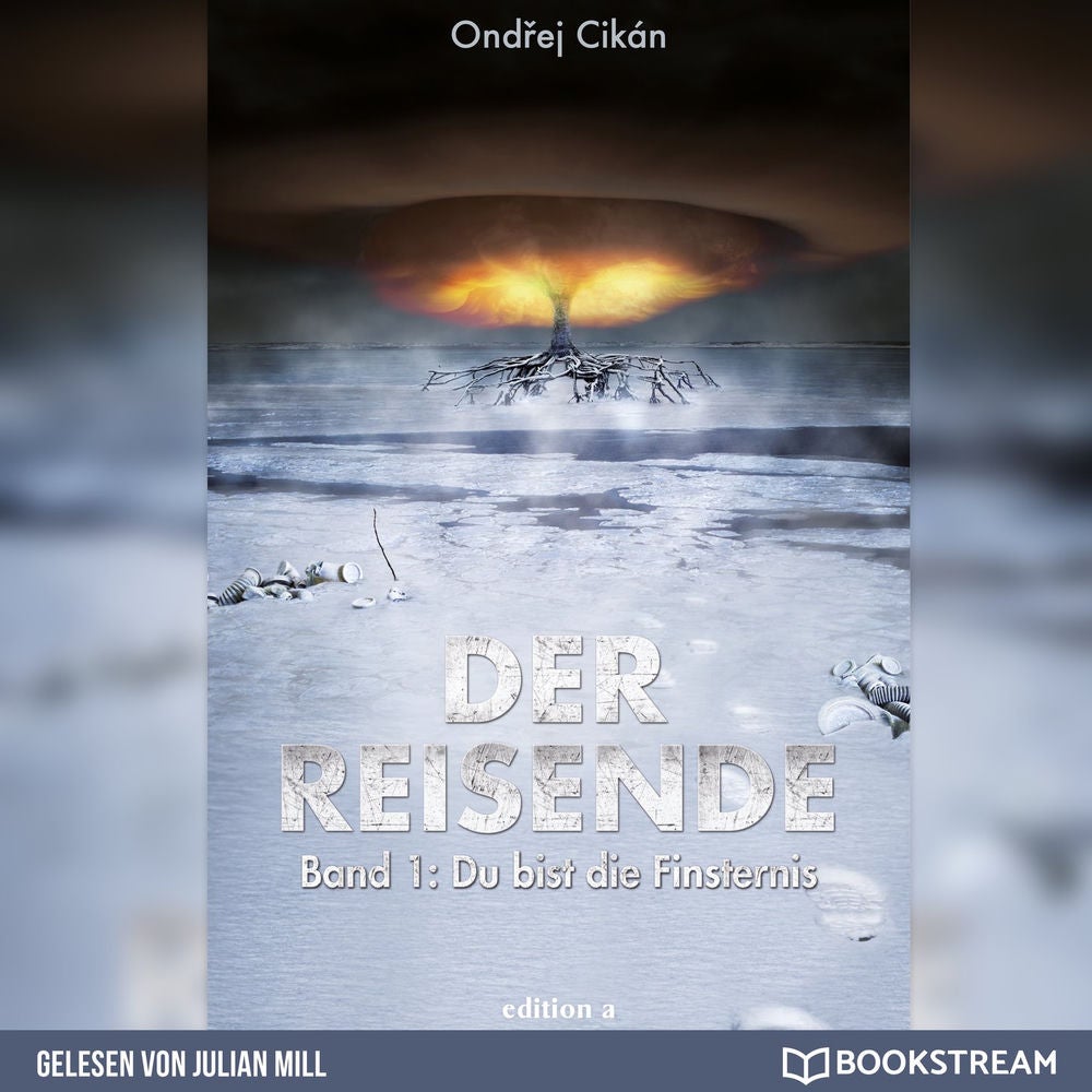 Du bist die Finsternis - Der Reisende, Band 1