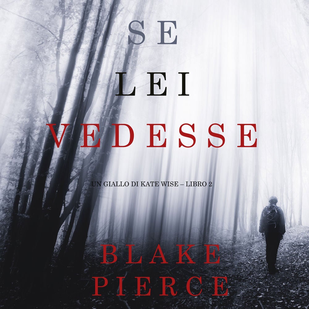 Se lei vedesse (Un giallo di Kate Wise – Libro 2)