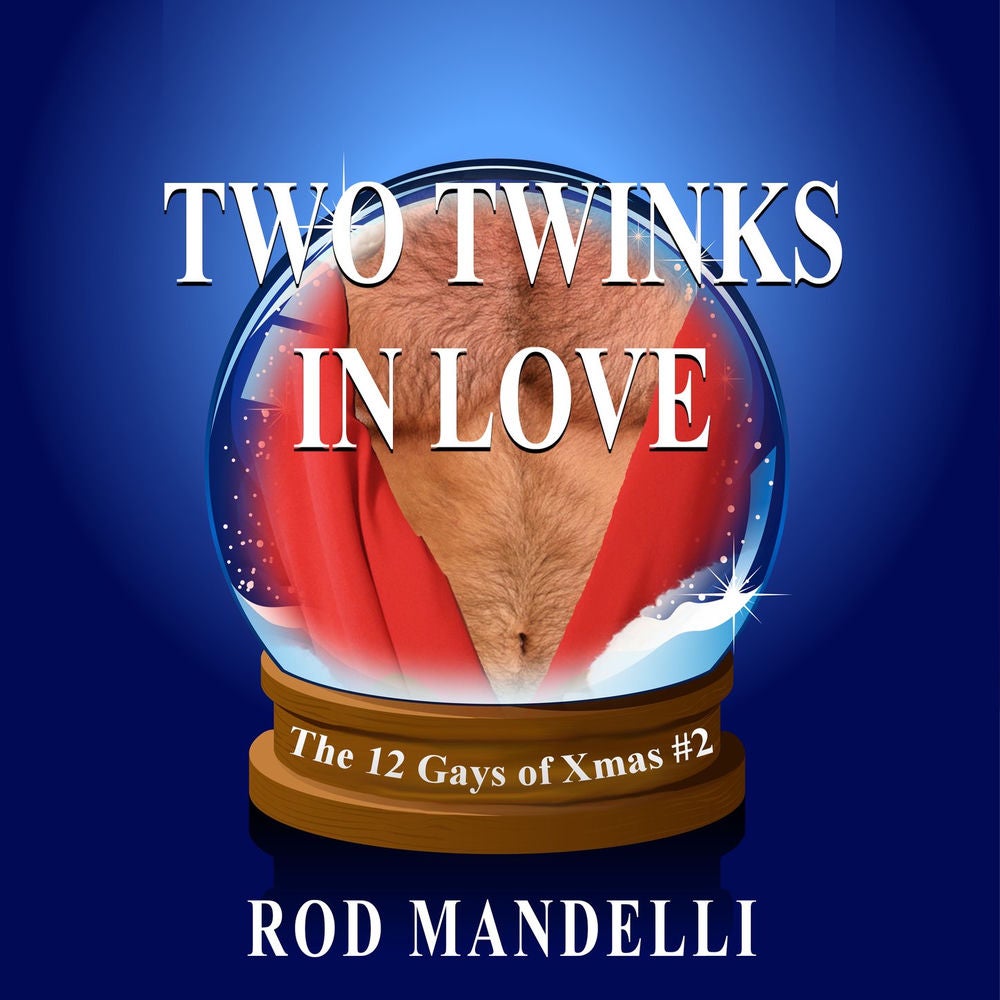 Two Twinks In Love - 12 Gays of Xmas, book 2