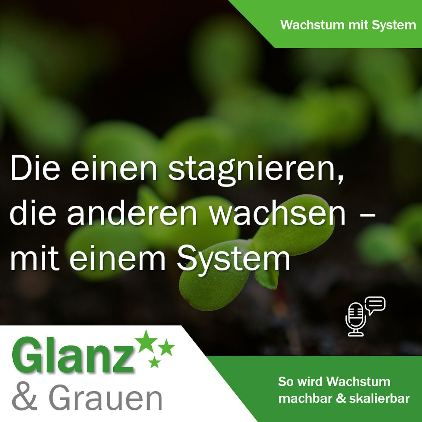 #80 Wachstum mit System