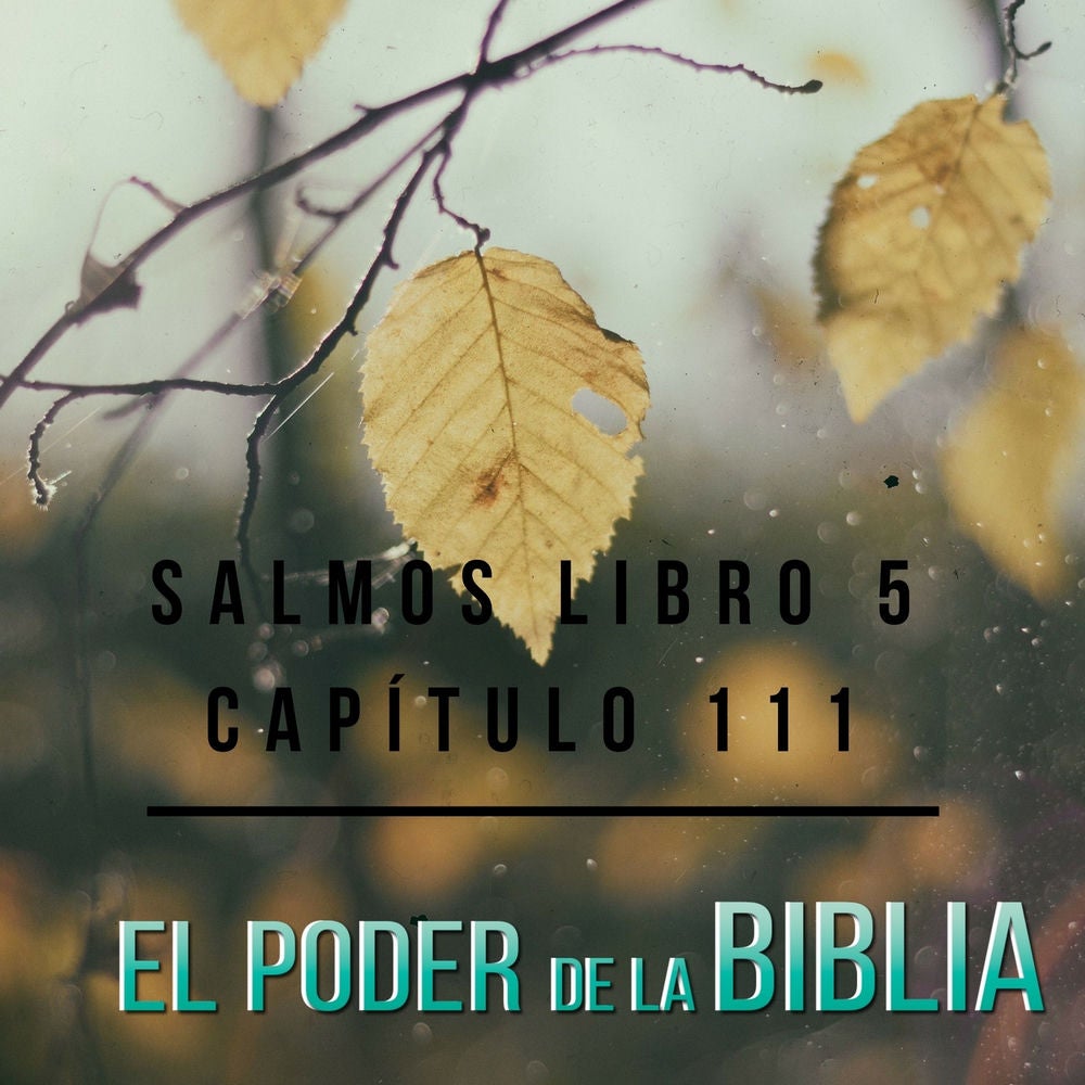 Salmos Libro 5 Capítulo 111