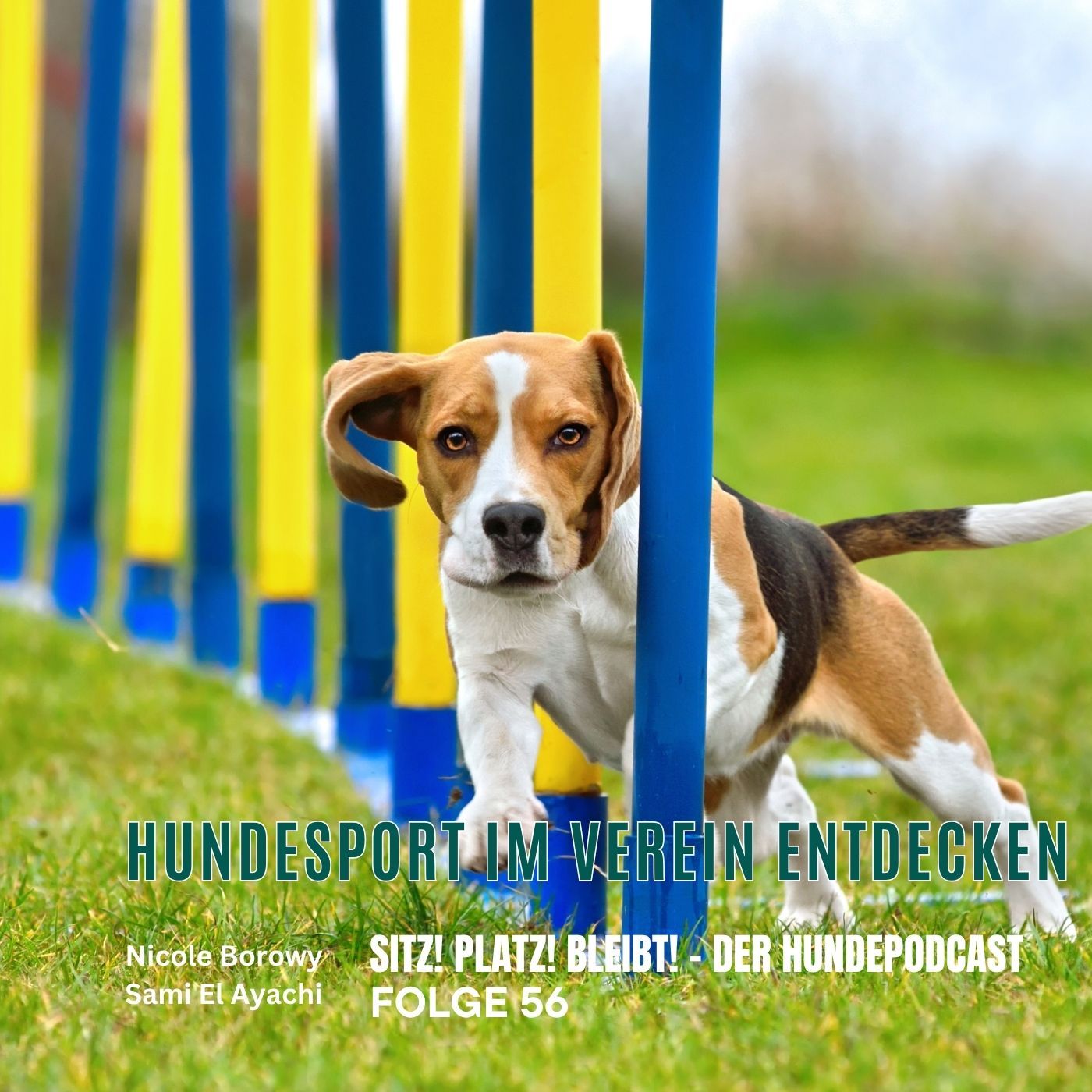 #56 Mehr als Auslastung - Hundesport im Verein entdecken
