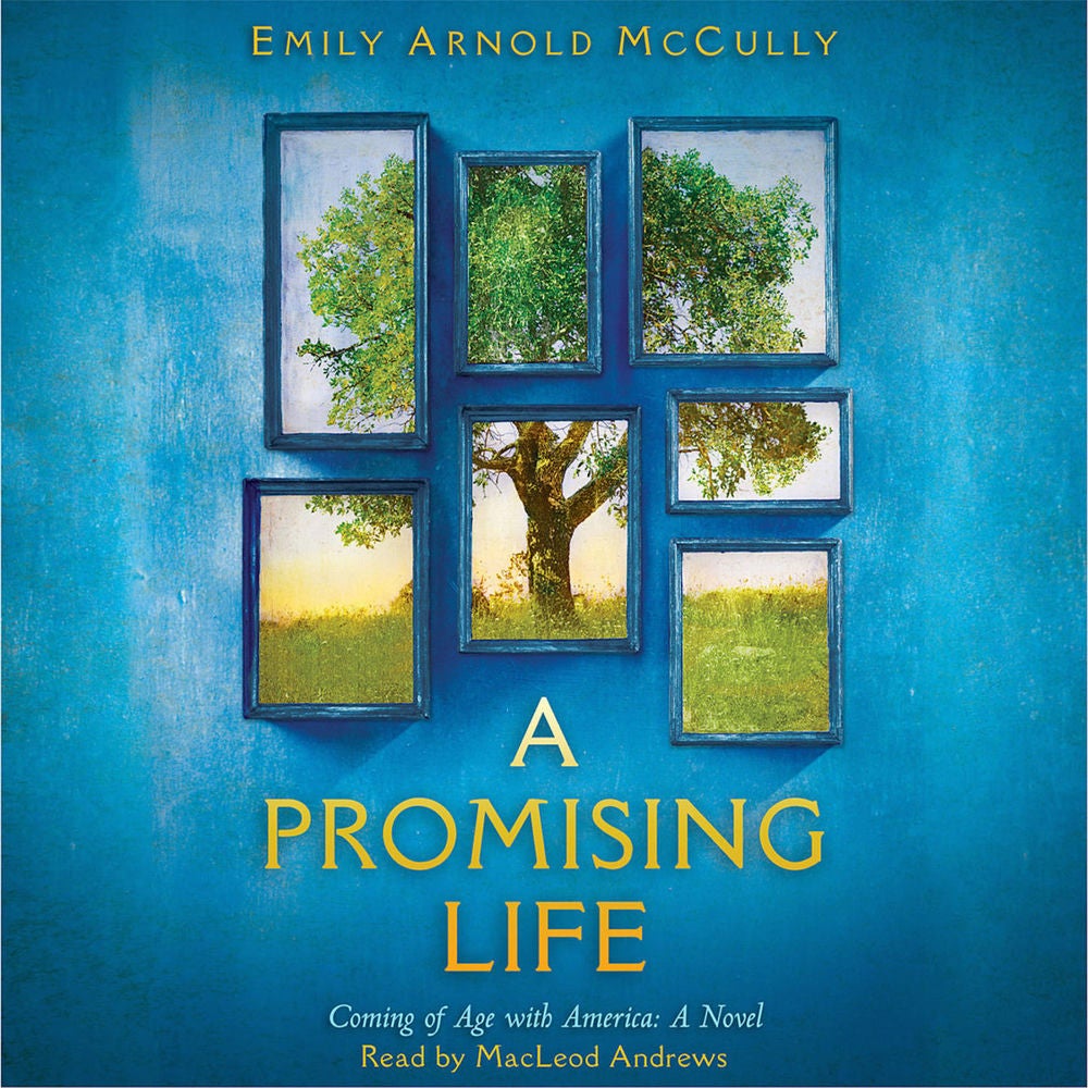 A Promising Life - Coming of Age with America, A Novel
