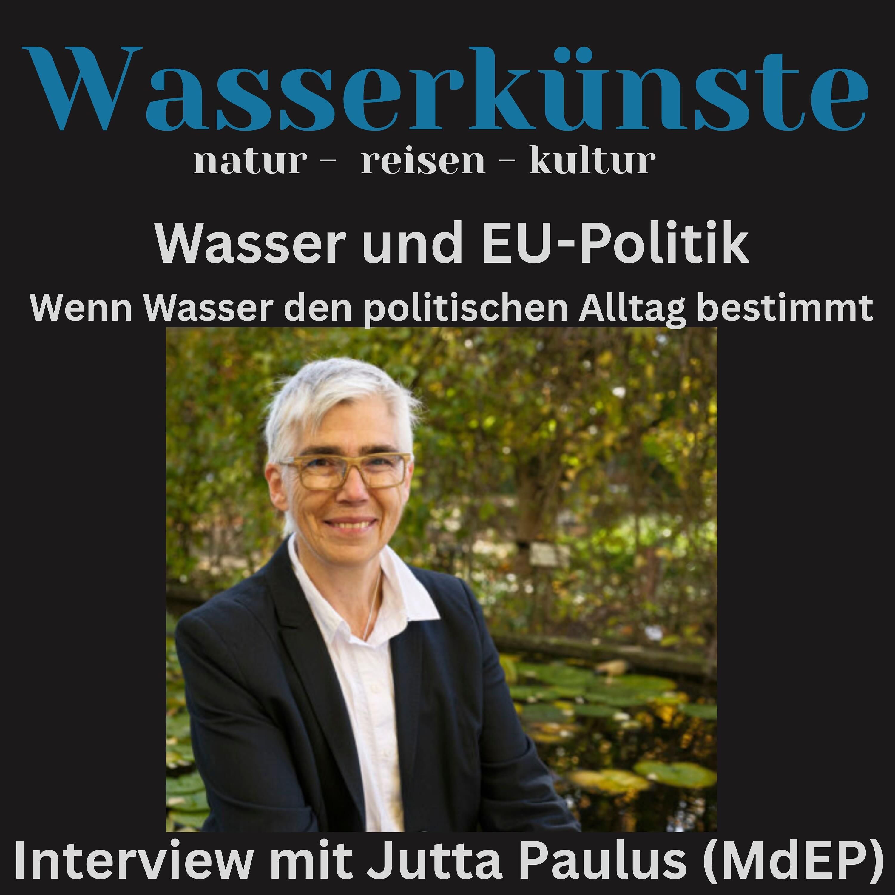 Wenn Wasser den politischen Alltag bestimmt - Interview mit Jutta Paulus (MdEP)