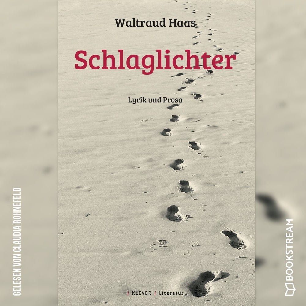 Schlaglichter - Lyrik und Prosa