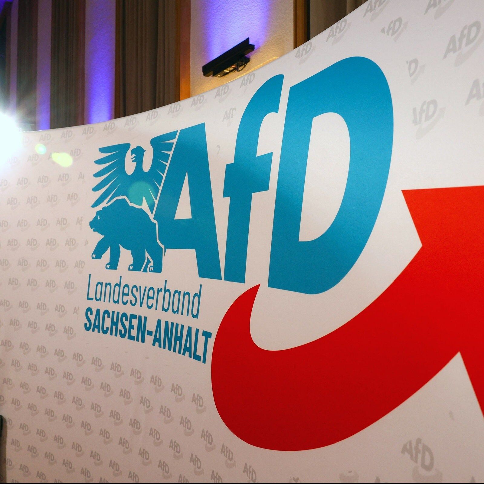 Was steckt hinter dem AfD-Höhenflug in Sachsen-Anhalt?
