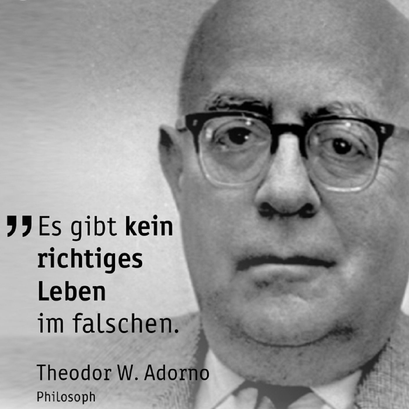 #18.1 - Kapitalistische Pathologien und Cambridge Analytica | Macht & Wirtschaft