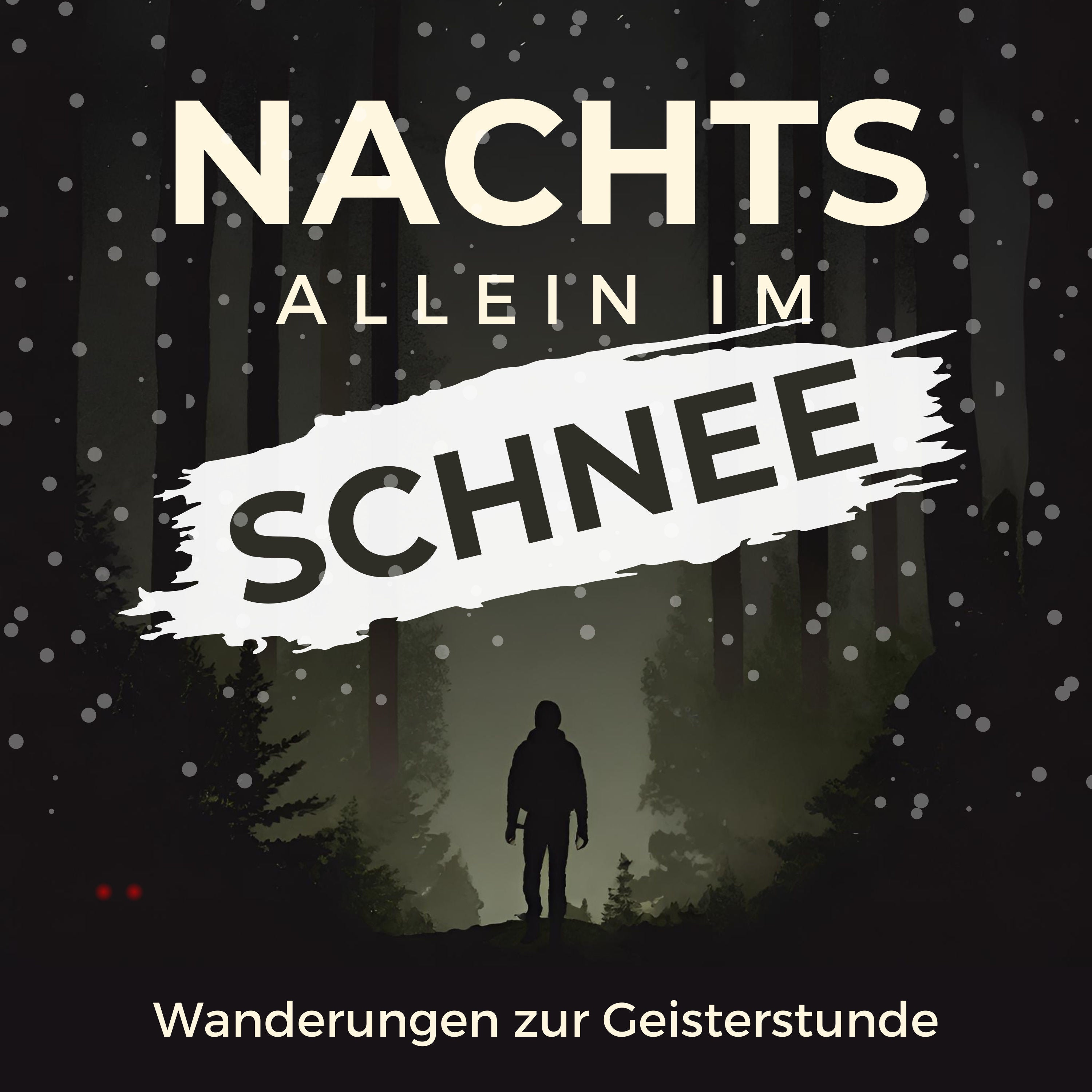 Nachts allein im Wald #14 - Nachtwanderung im Schnee