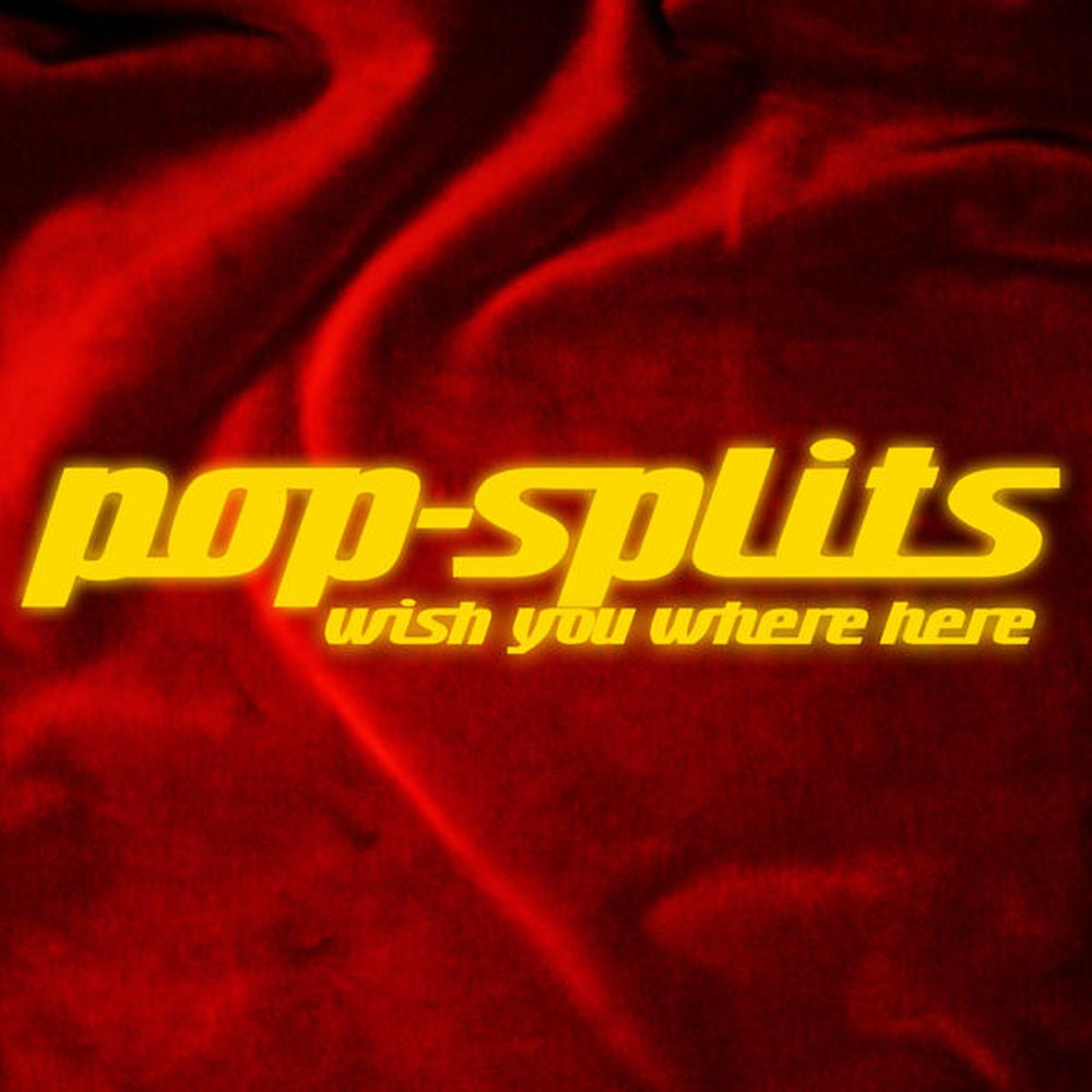 pop-splits - Wish You Where Here - 21 Stories zu Songs über persönliche Helden