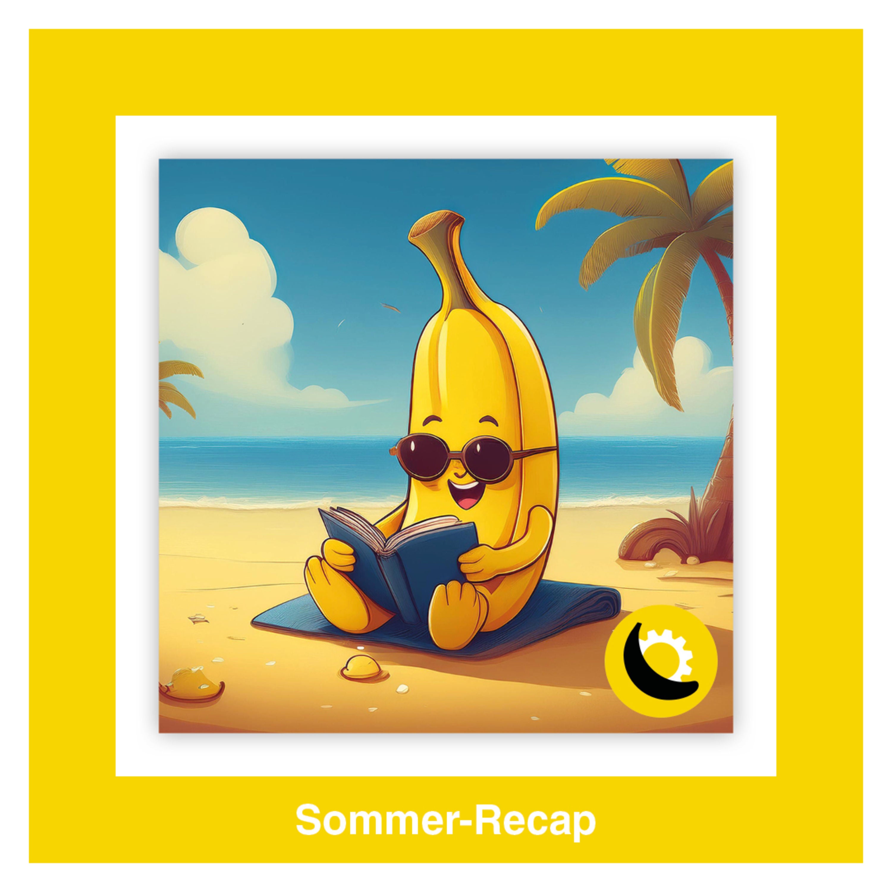 Episode 41 - Sommer-Recap: Twilight-Audio-Exzess und Ghibli-Realitätscheck