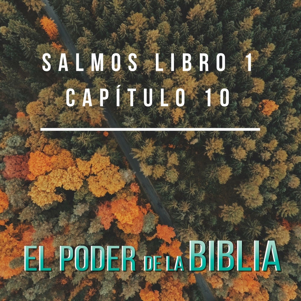 Salmos Libro 1 Capítulo 10