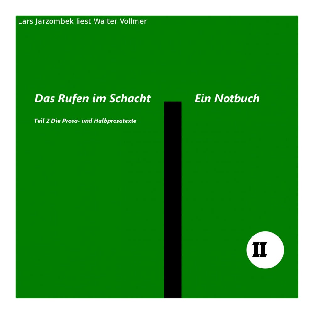 Lars Jarzombek liest Walter Vollmer 'Das Rufen im Schacht' Teil 2