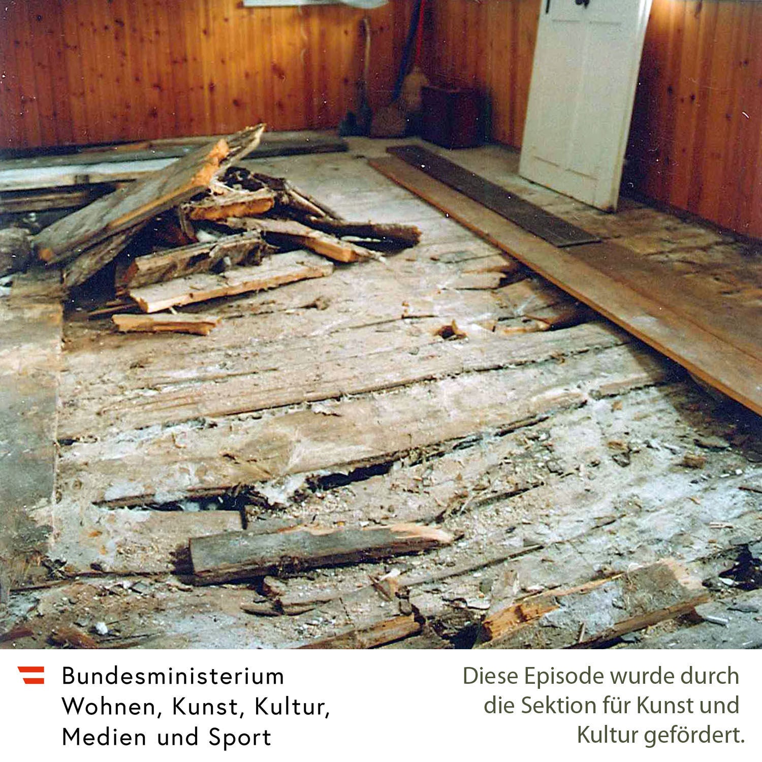 Holzzerstörende Pilze