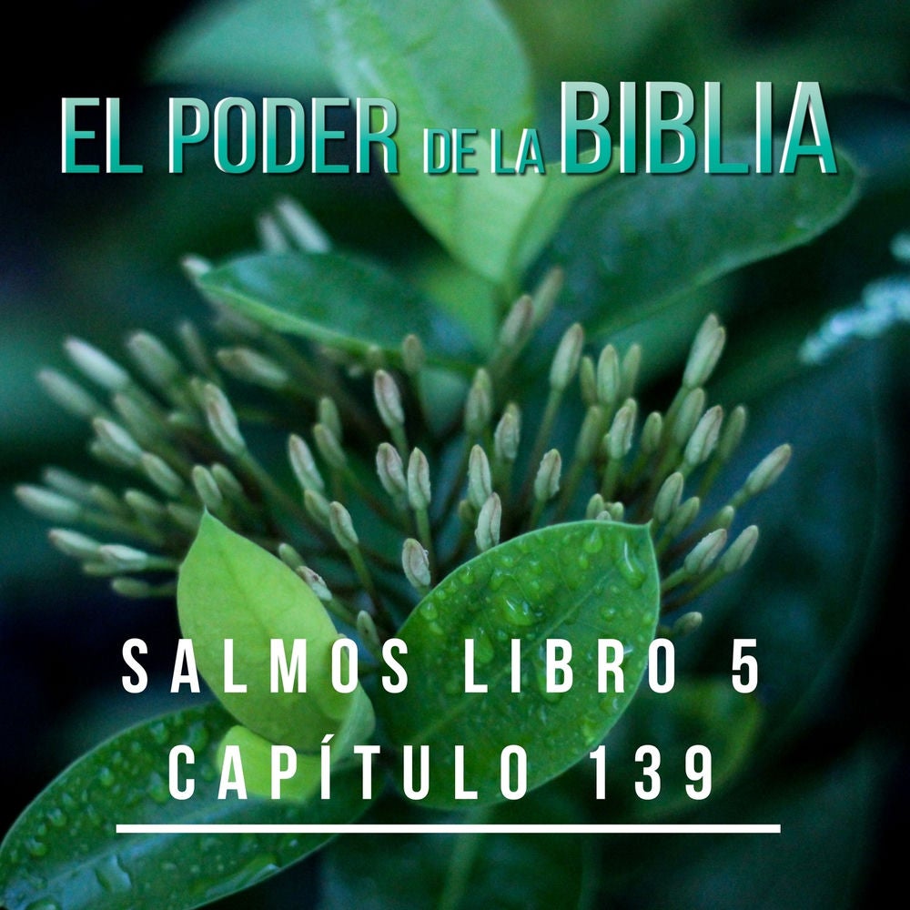 Salmos Libro 5 Capítulo 139