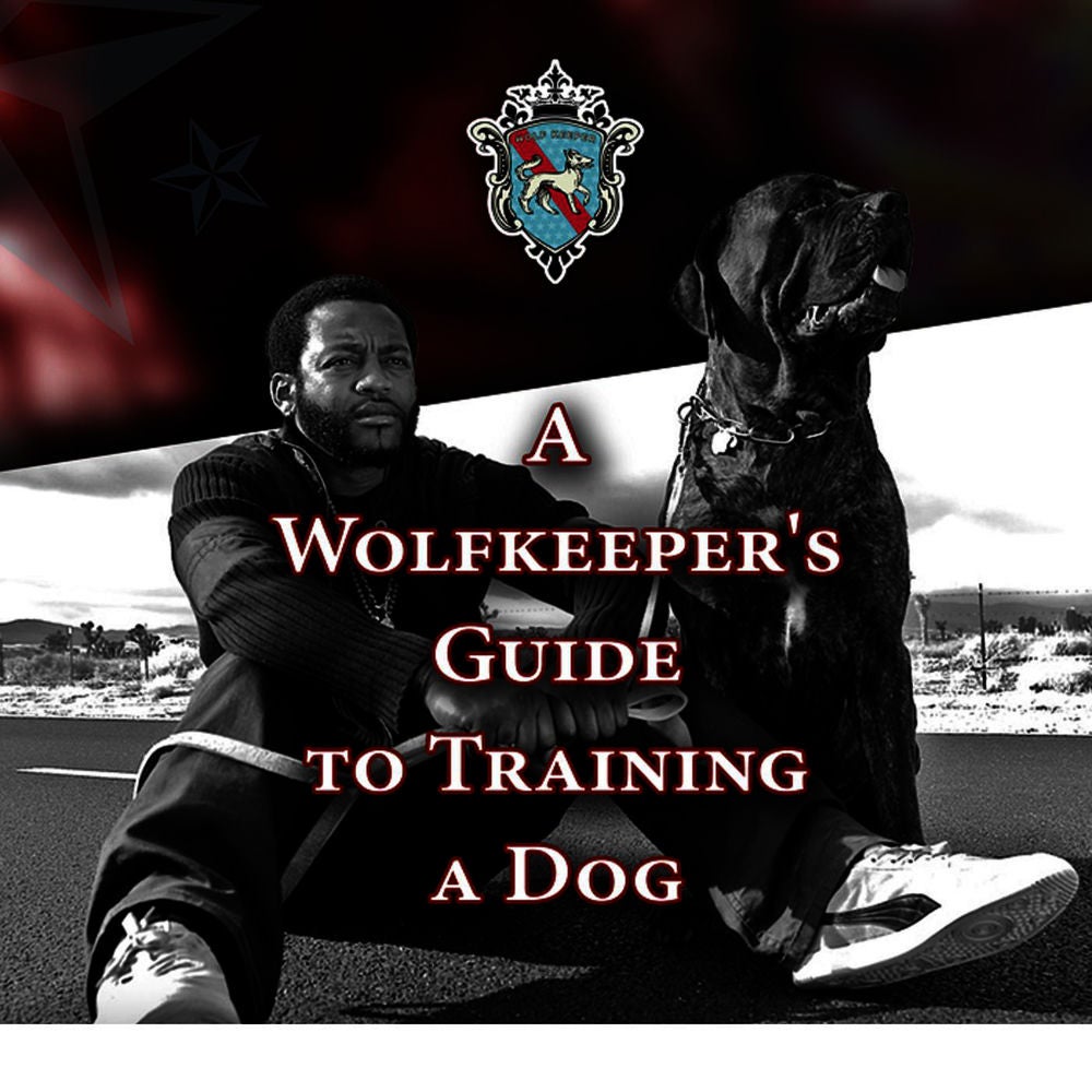 A Wolfkeeper's Guide to Training a Dog