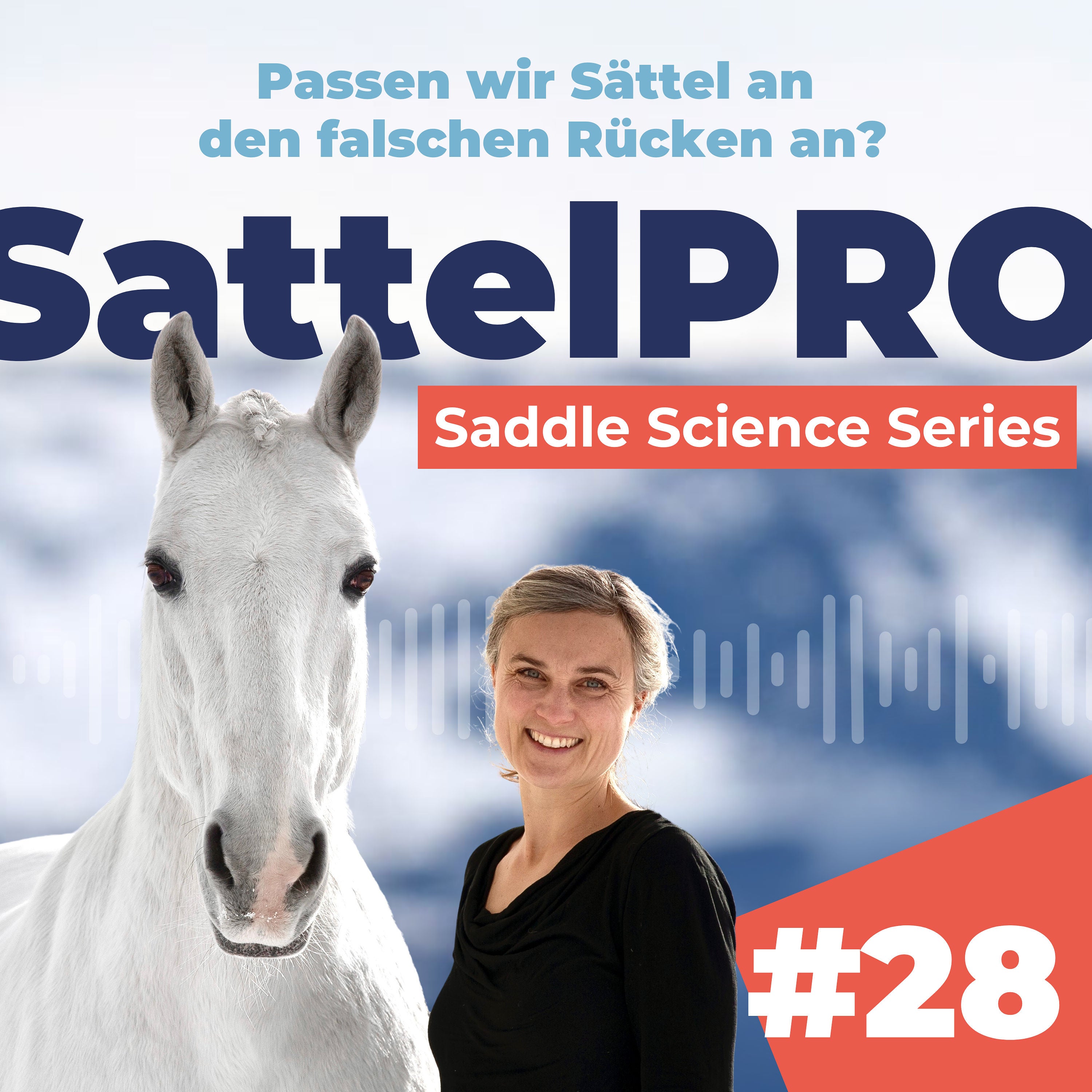 #28 Passen wir Sättel an den falschen Rücken an?