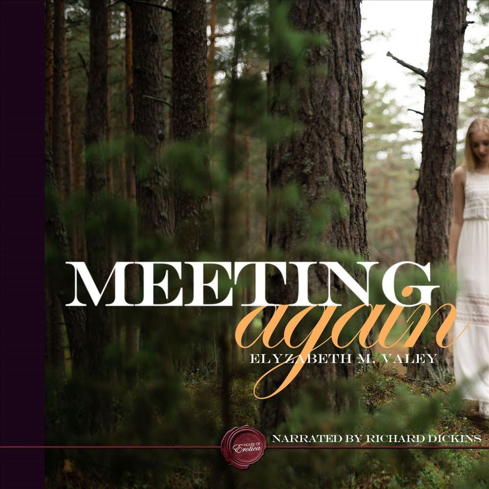 Meeting Again - An Erotic Short Story