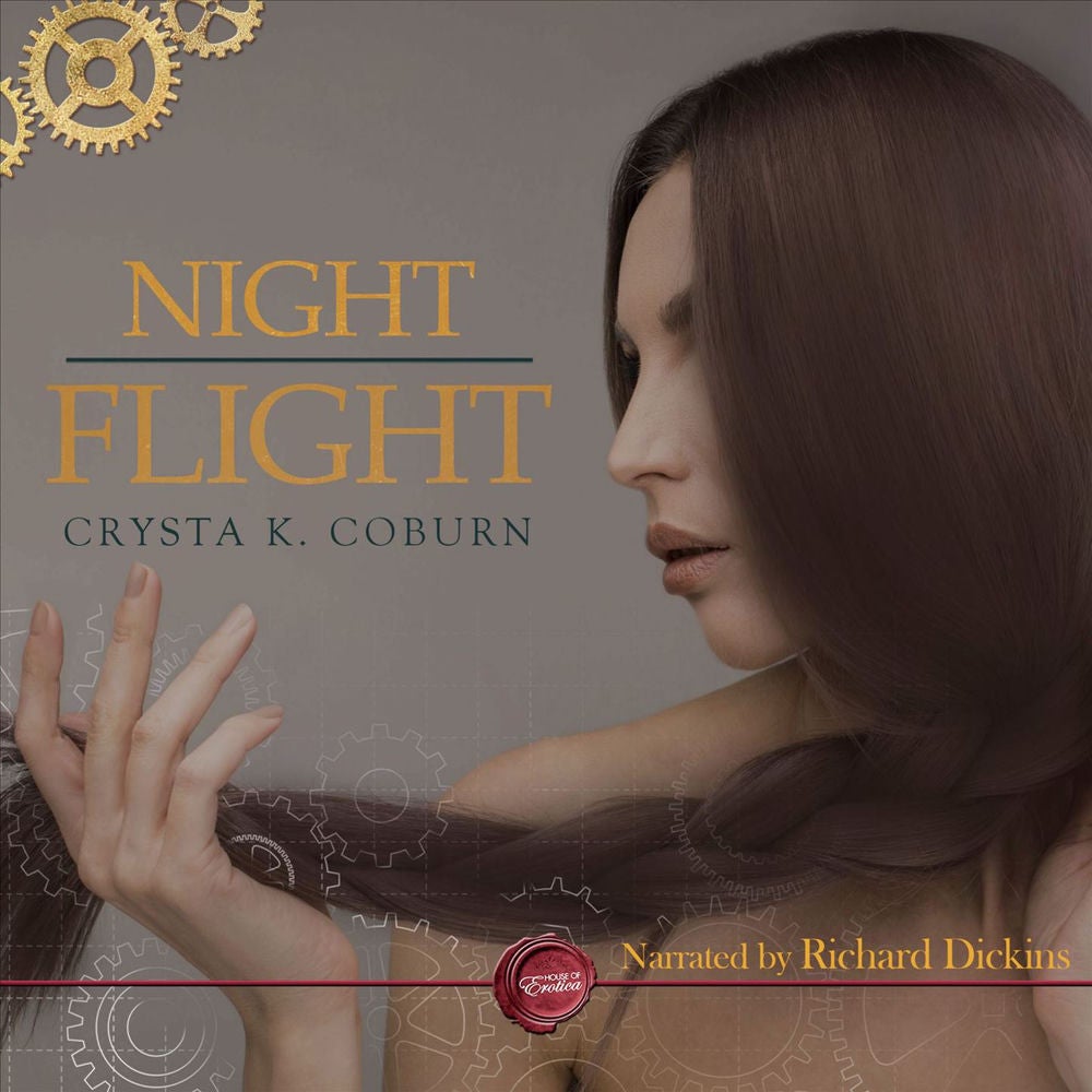 Night Flight - An Erotic Short Steampunk Story