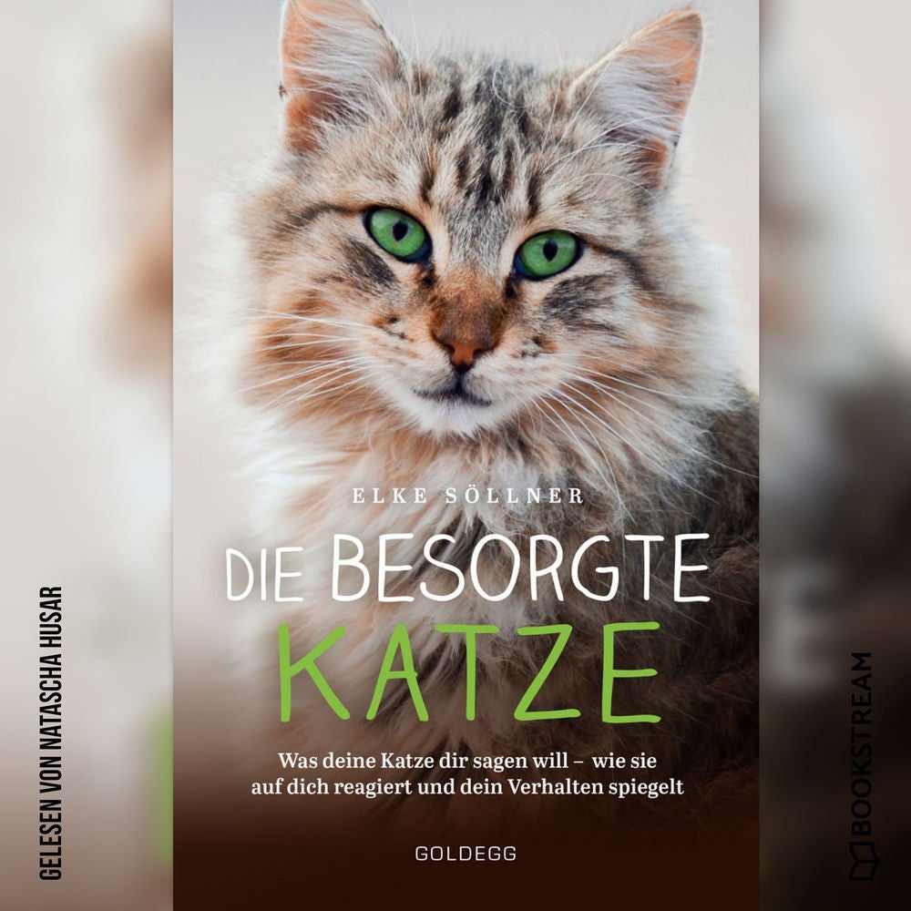 Die besorgte Katze - Was deine Katze dir sagen will - wie sie auf dich reagiert und dein Verhalten spiegelt