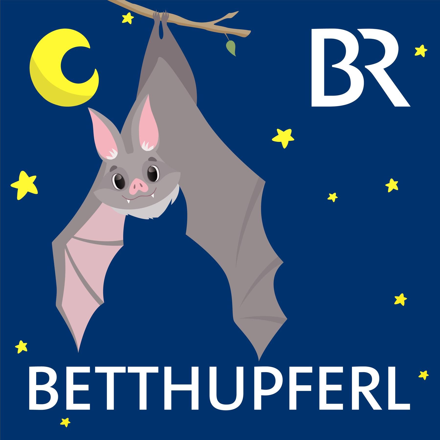 Beppo, die Burgfledermaus: Beppo schämt sich für seine Ohren | Eine Gute-Nacht-Geschichte ab 5 Jahren / Mundart Mittelfranken