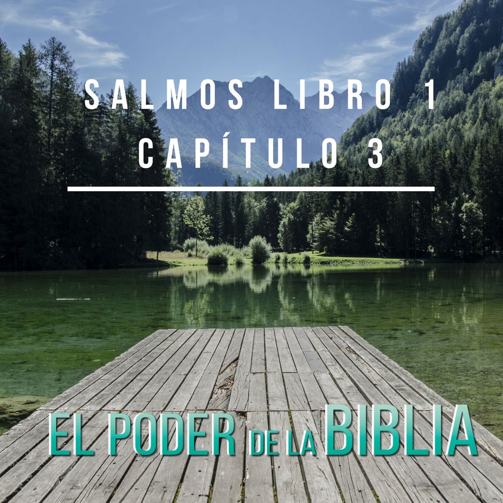 Salmos Libro 1 Capítulo 3