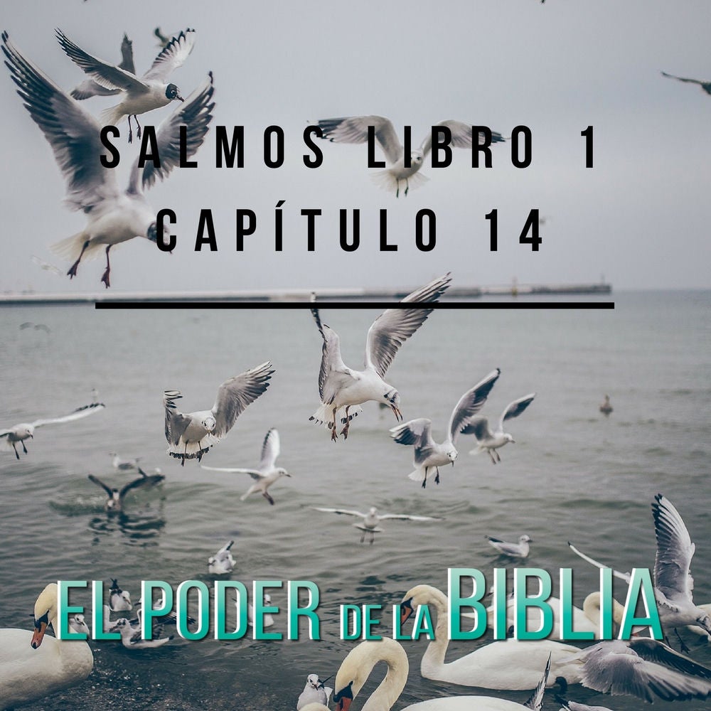 Salmos Libro 1 Capítulo 14