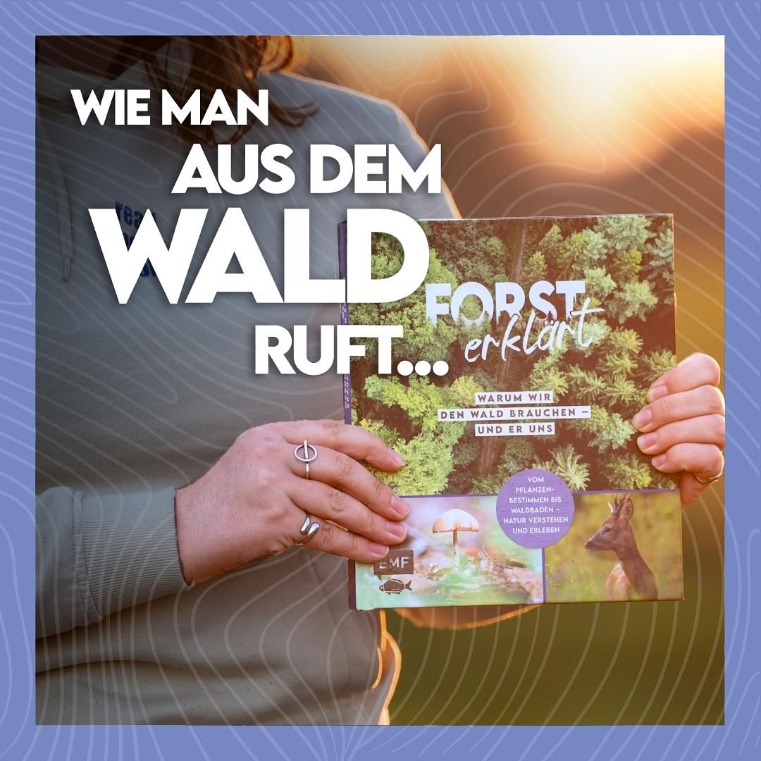 #34 Ein Buch über den Wald