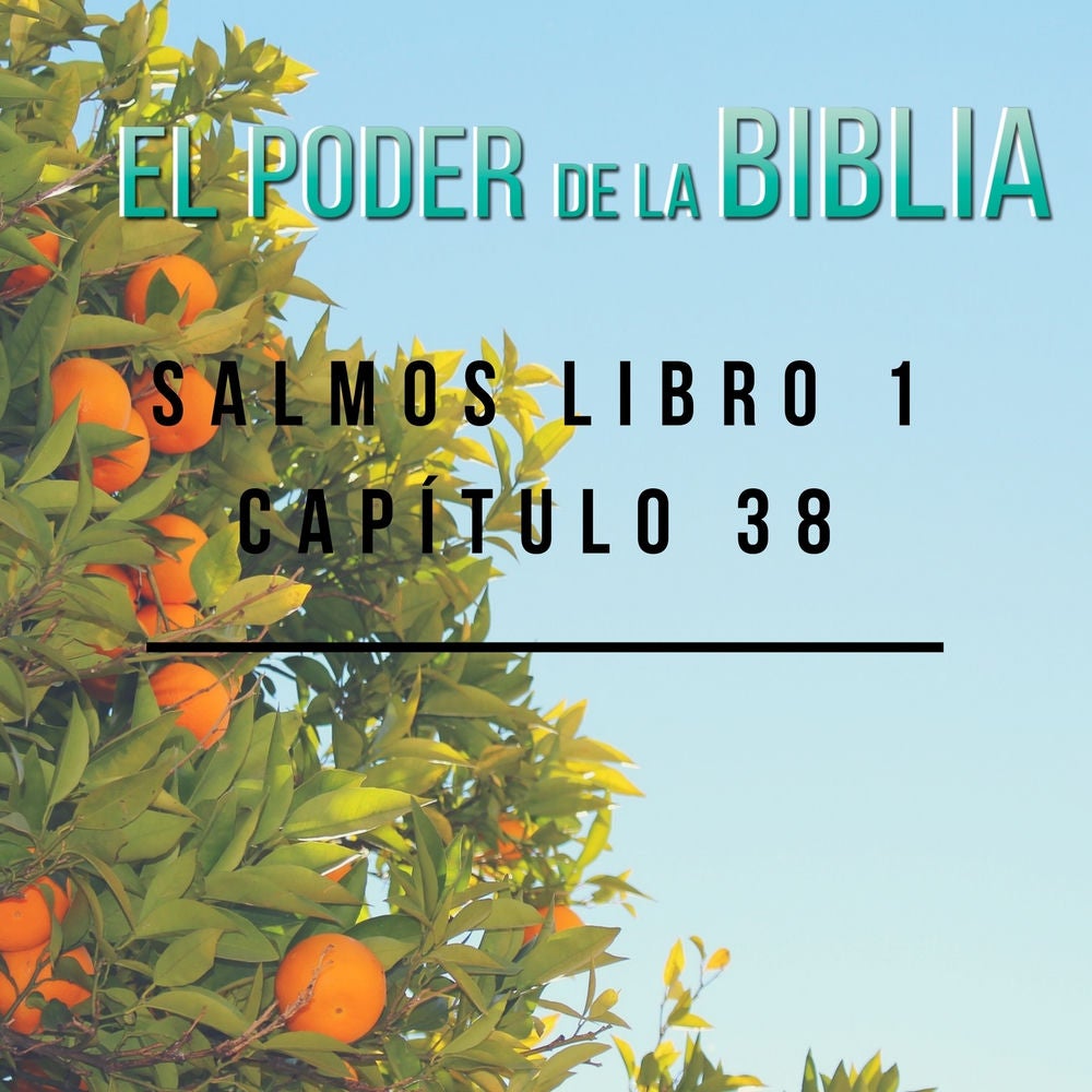 Salmos Libro 1 Capítulo 38