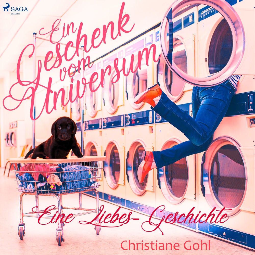 Ein Geschenk vom Universum - Eine Liebes-Geschichte (Gekürzt)