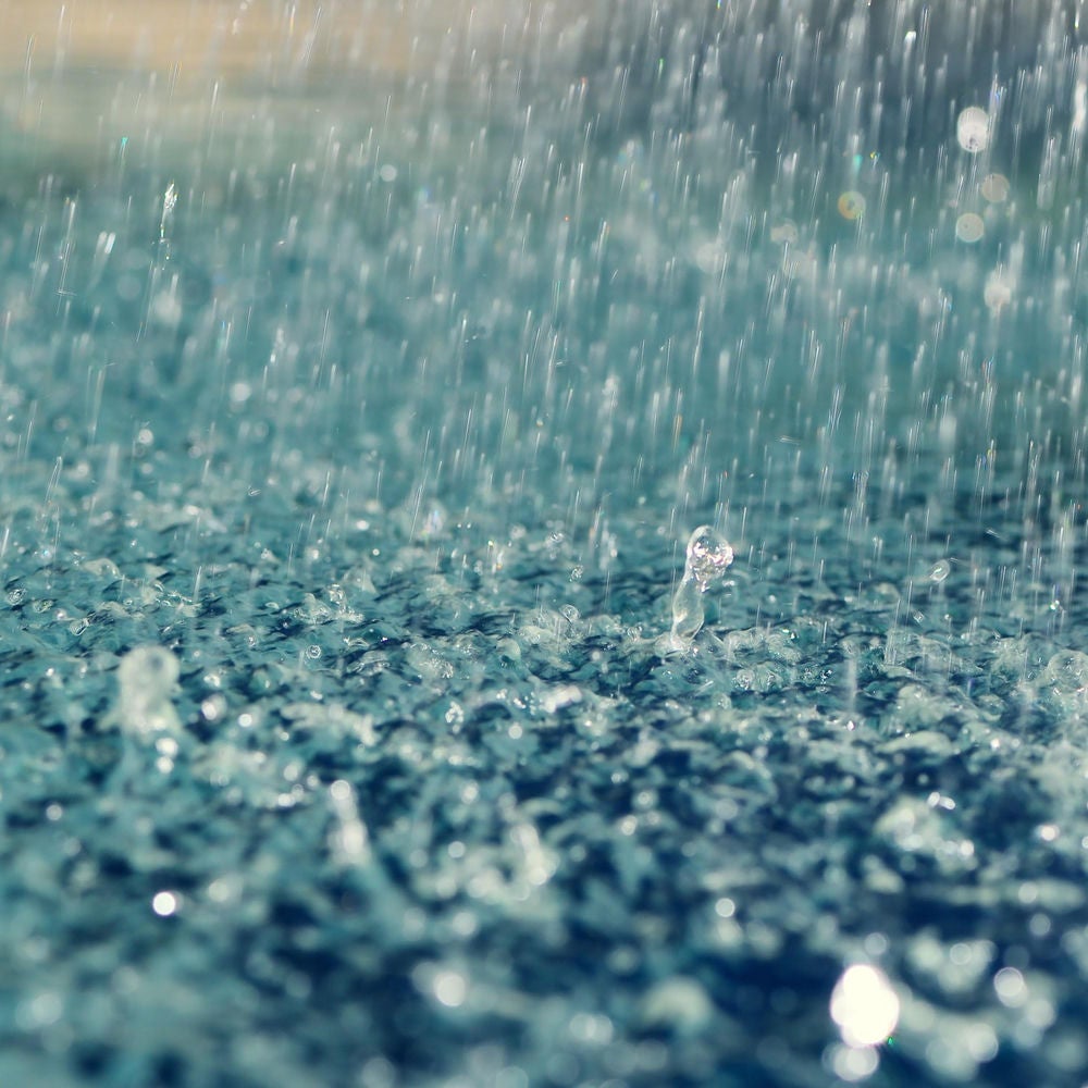 Nymphs Rain UP (Original Contemporary Ballet)