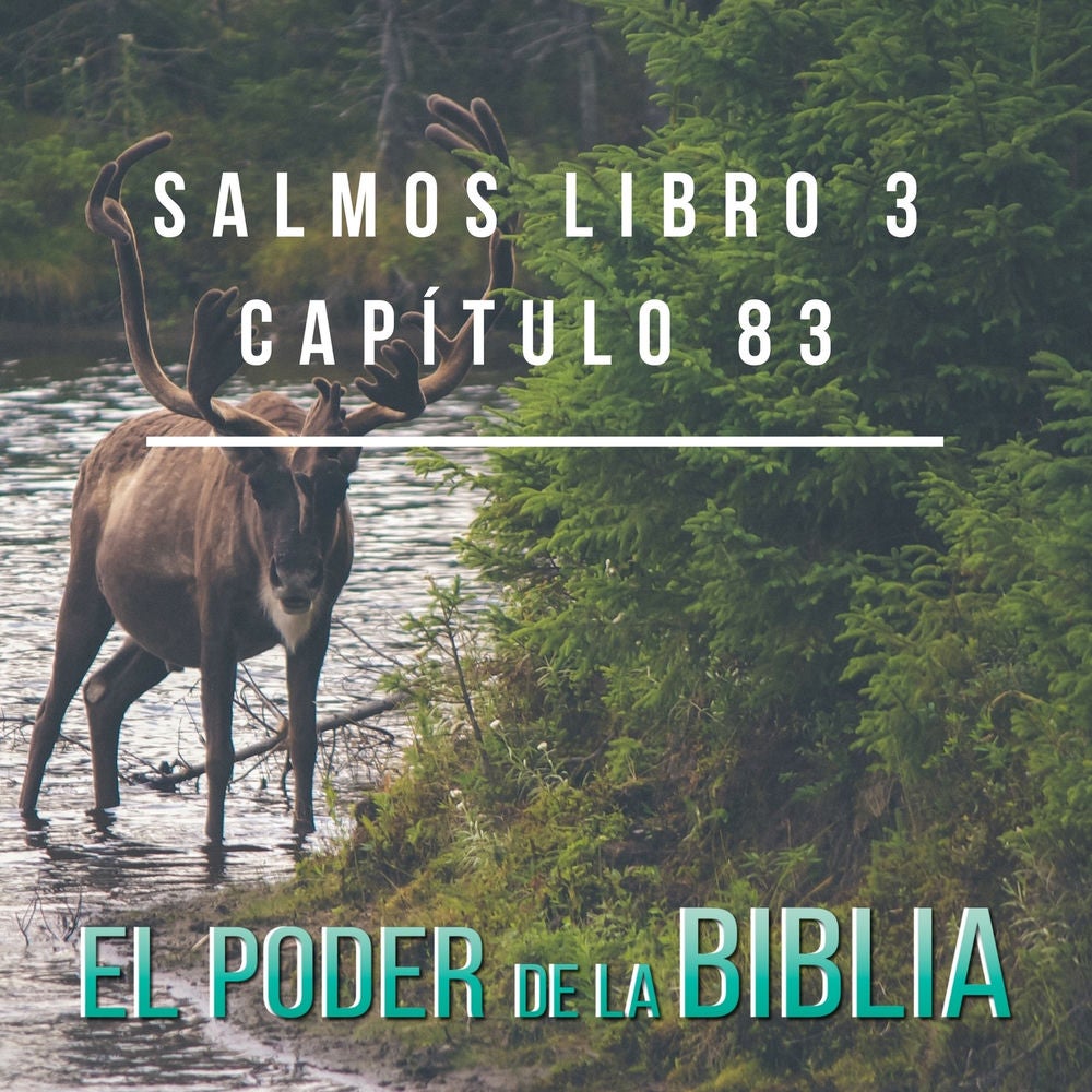 Salmos Libro 3 Capítulos 83