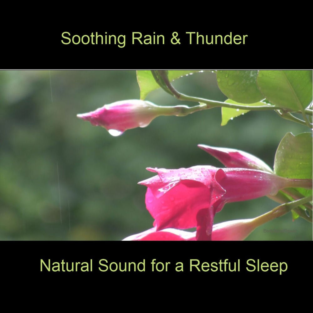 Soothing Rain & Thunder