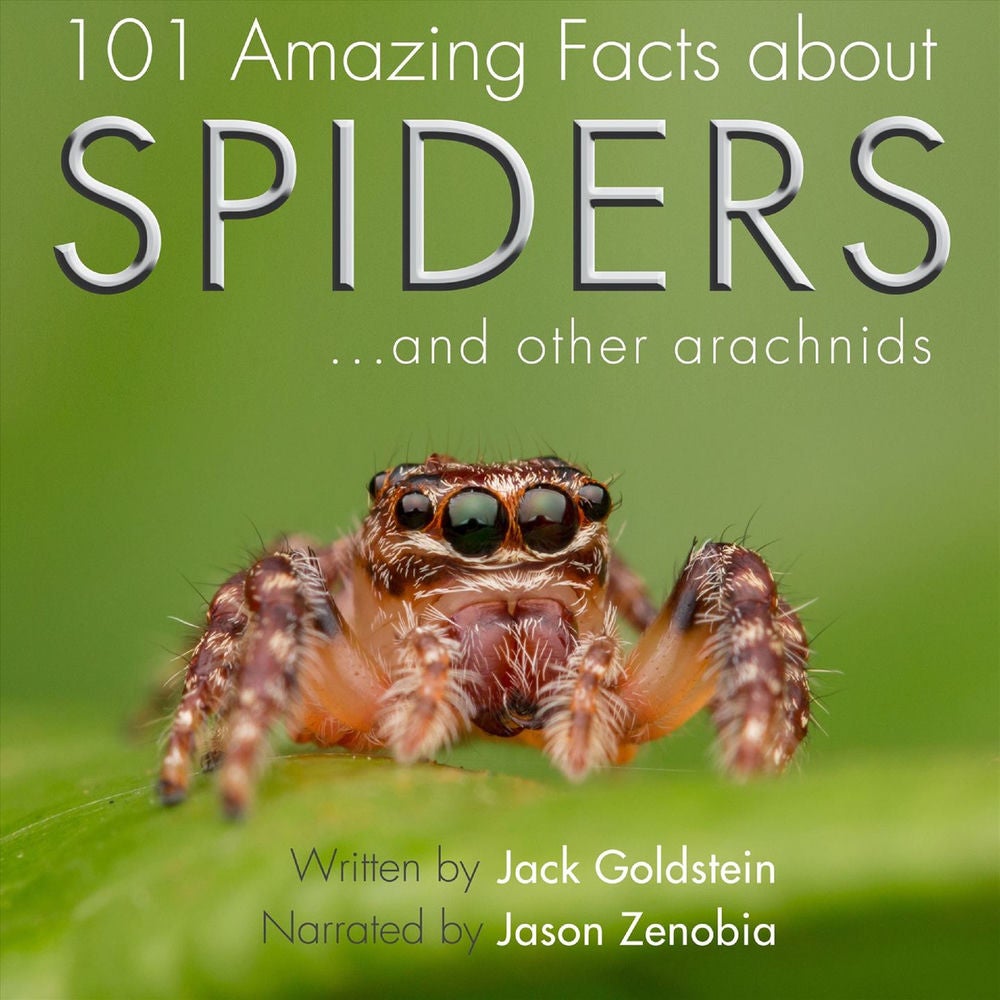 101 Amazing Facts about Spiders ...and other arachnids
