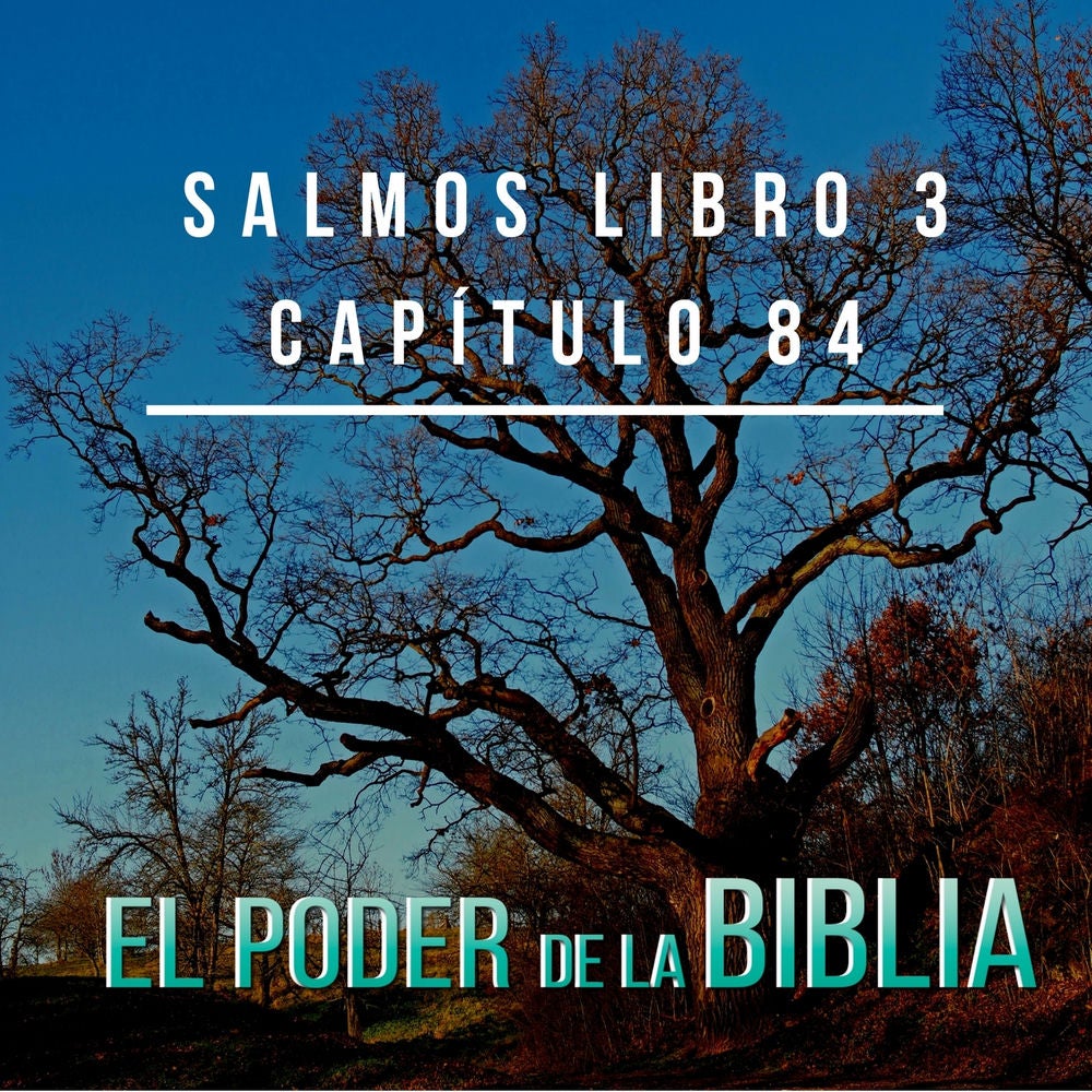 Salmos Libro 3 Capítulo 84