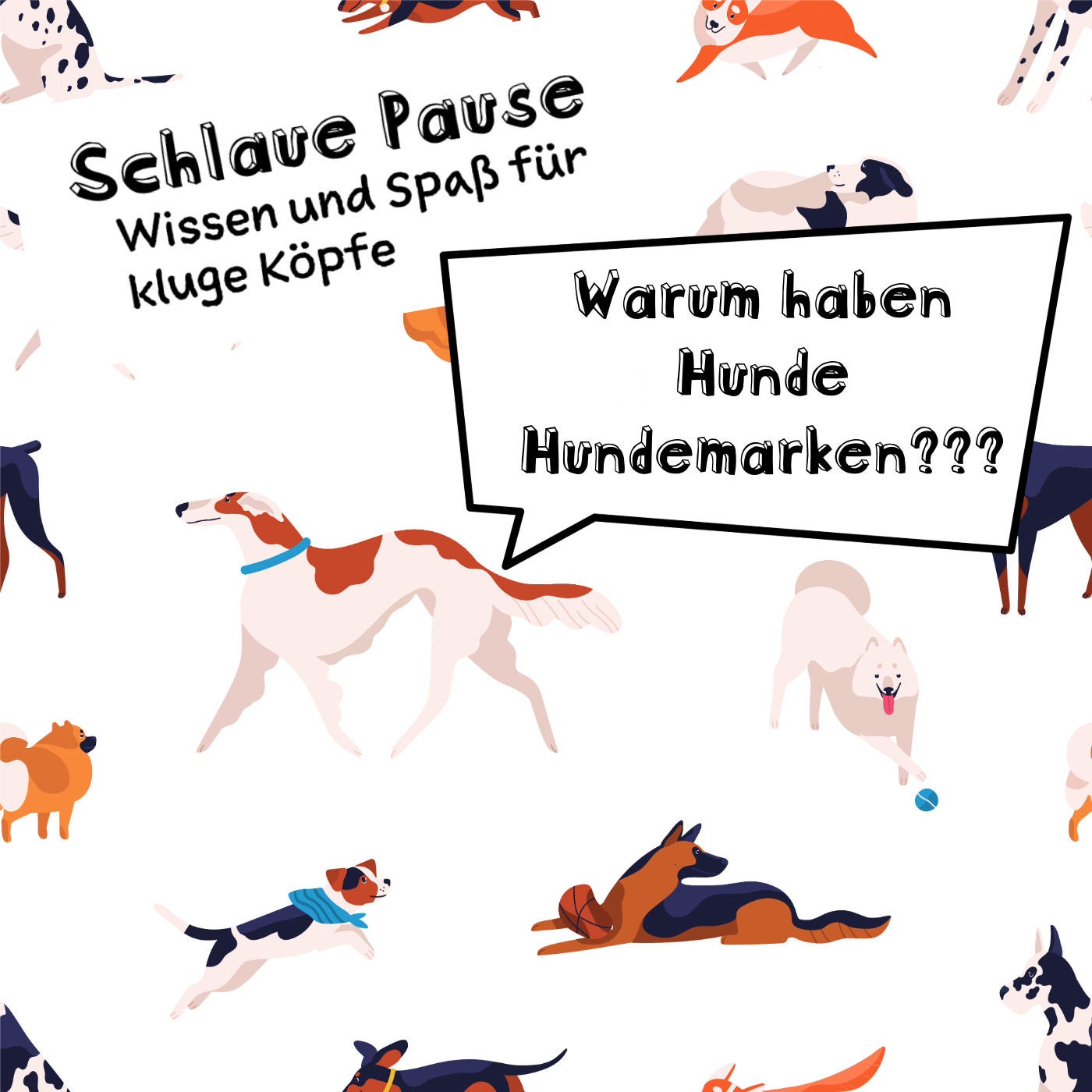 Warum haben Hunde Hundemarken?