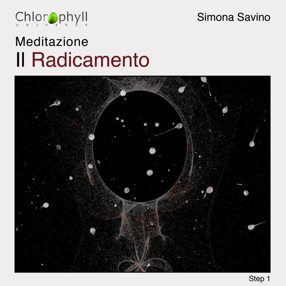 Meditazione: Il radicamento, vol. 1