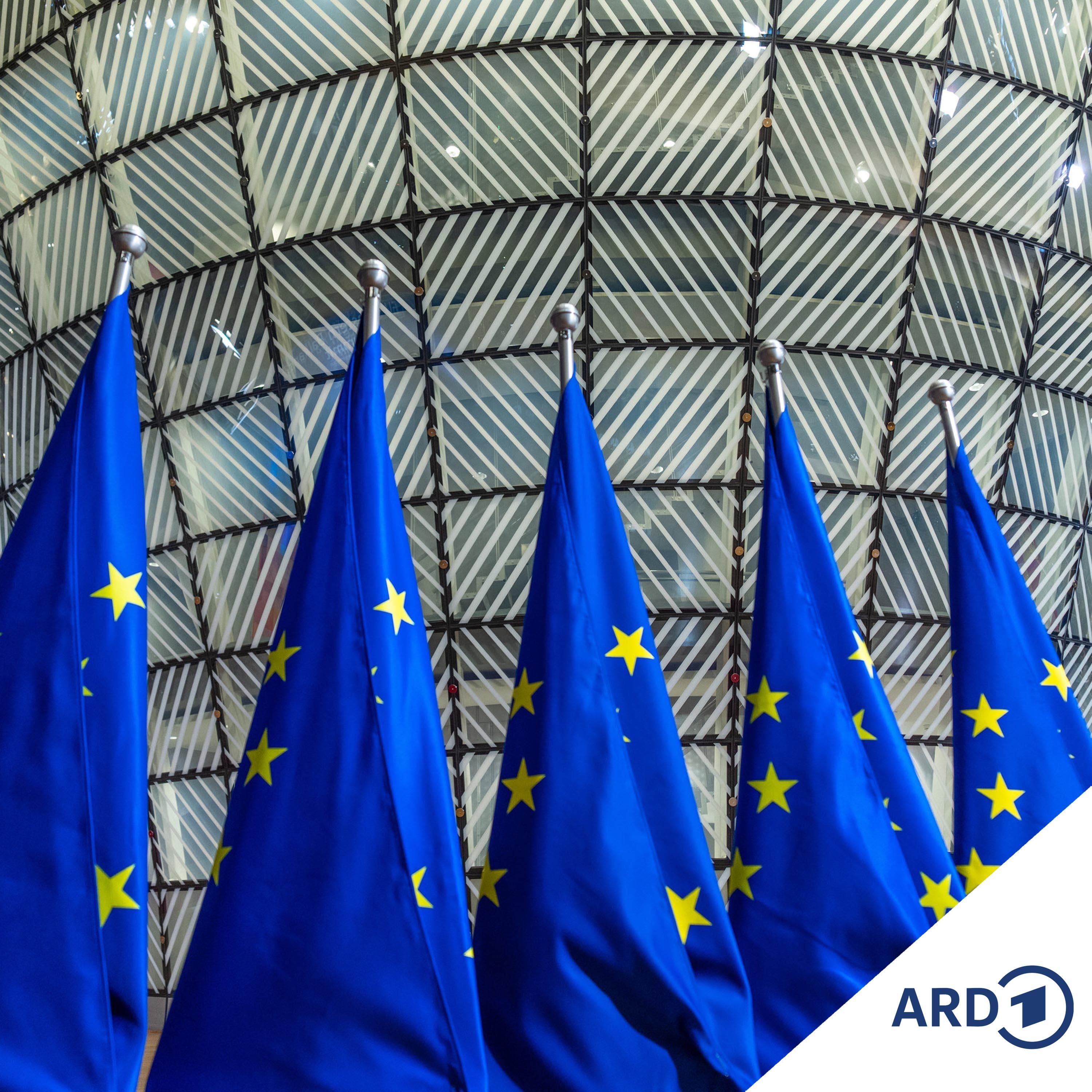 EU-Außenminister beraten über Ukraine und Syrien
