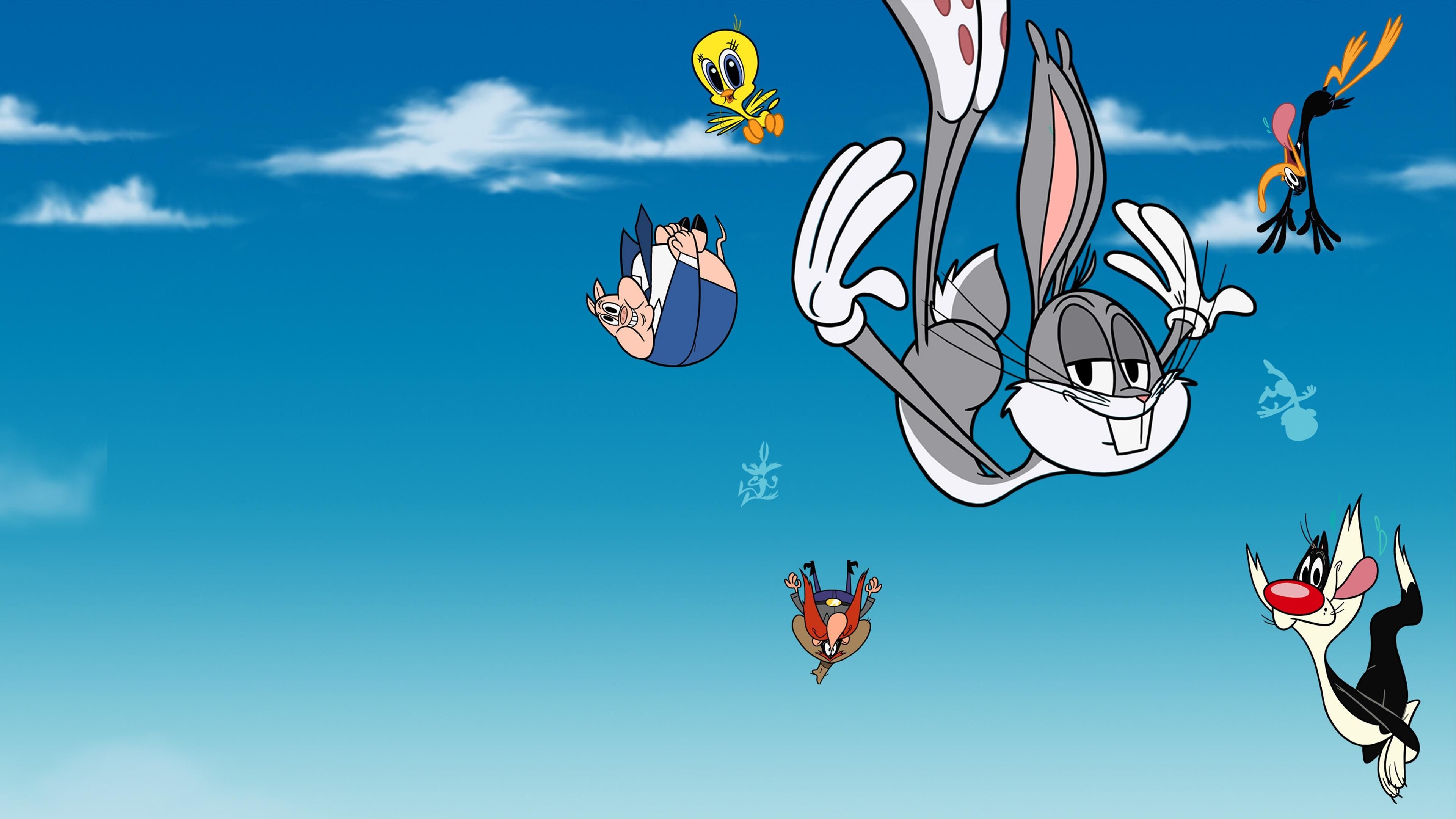 Die neue Looney Tunes Show