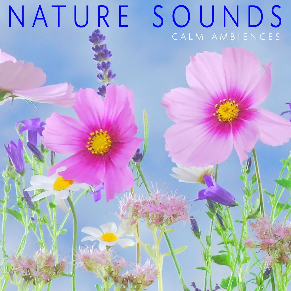 Nature Sounds (Calm Ambiences)
