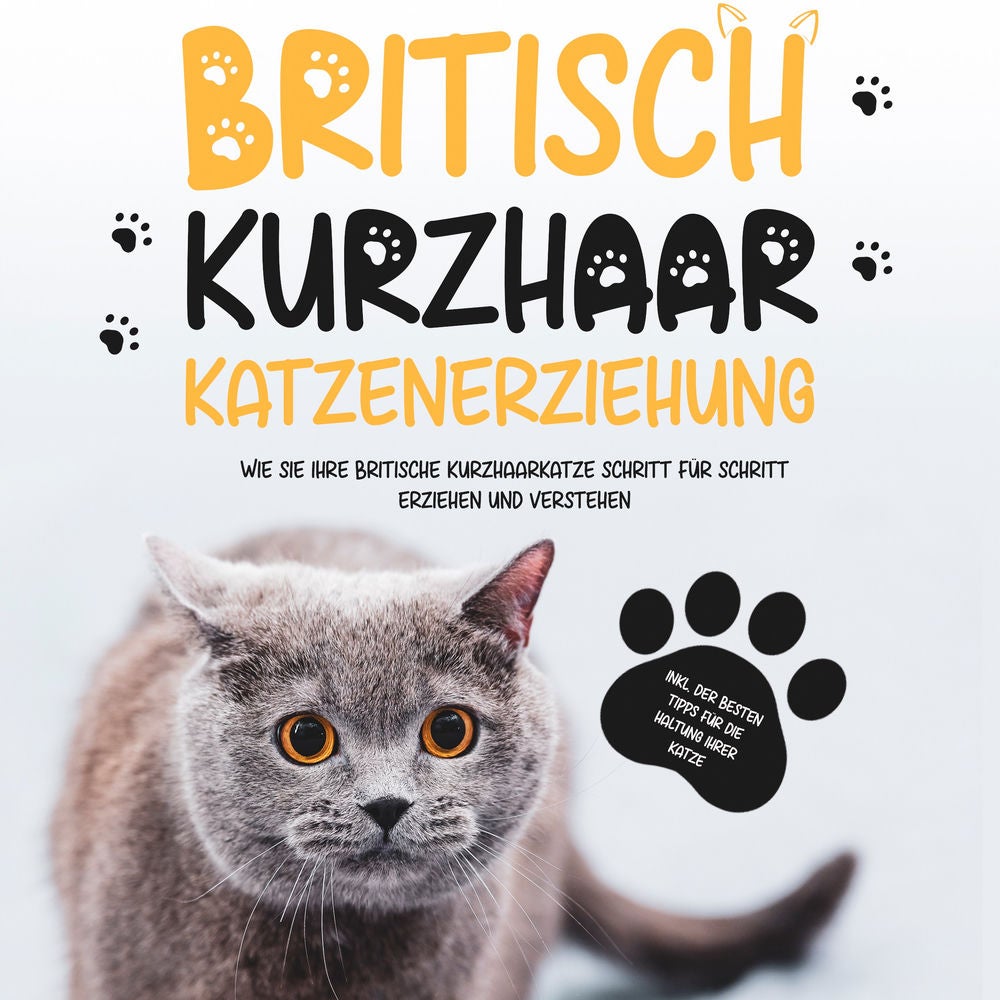 Britisch Kurzhaar Katzenerziehung: Wie Sie Ihre britische Kurzhaarkatze Schritt für Schritt erziehen und verstehen – inkl. der bes