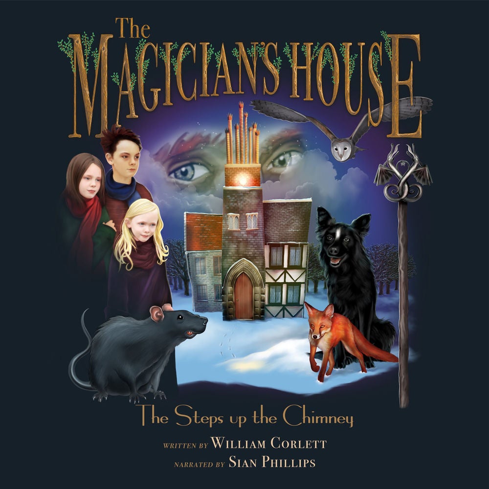 The Magician's House: Steps Up the Chimney