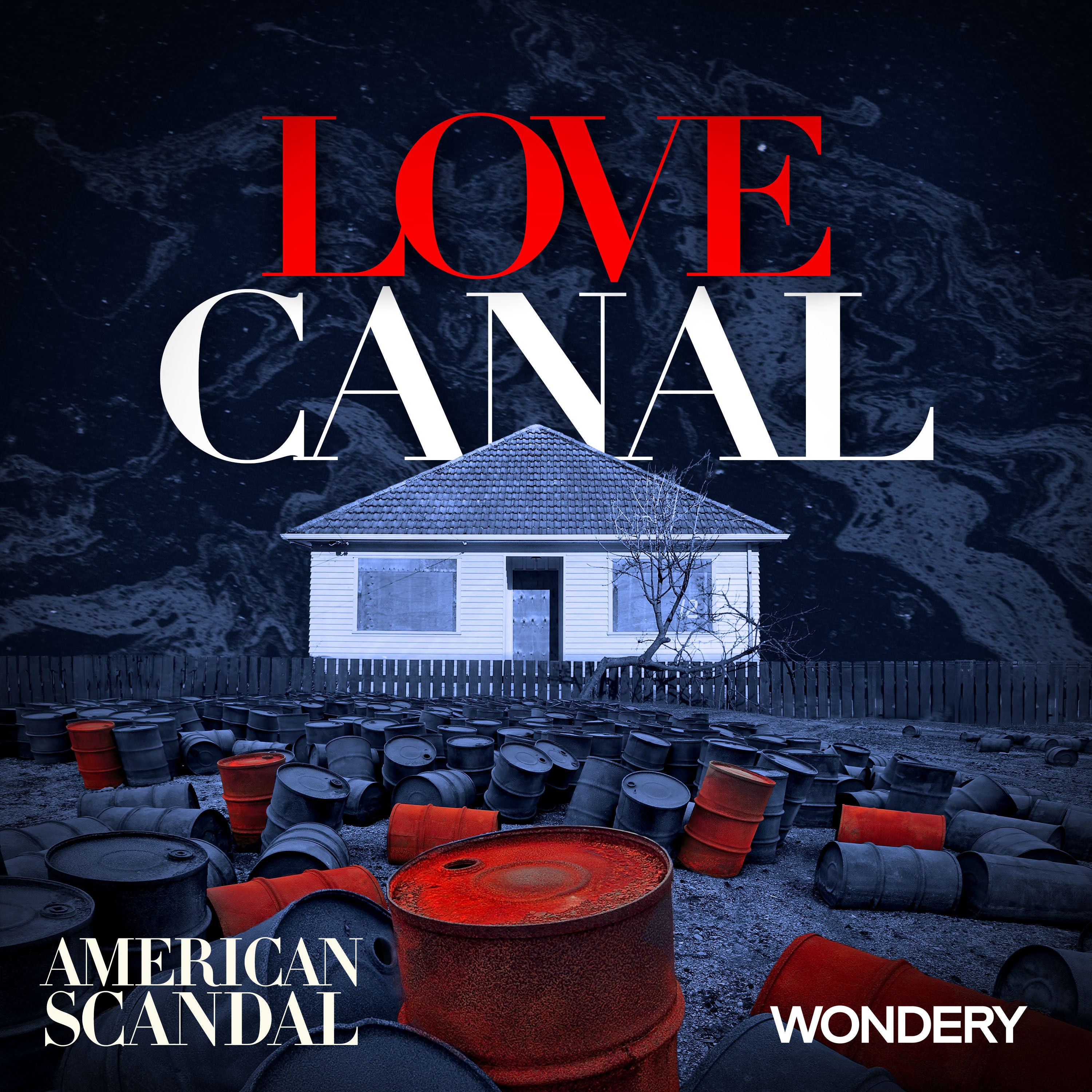 Love Canal | The Education of Lois Gibbs | 1