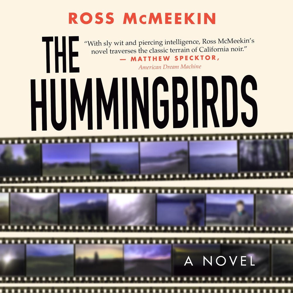 Hummingbirds - A Novel