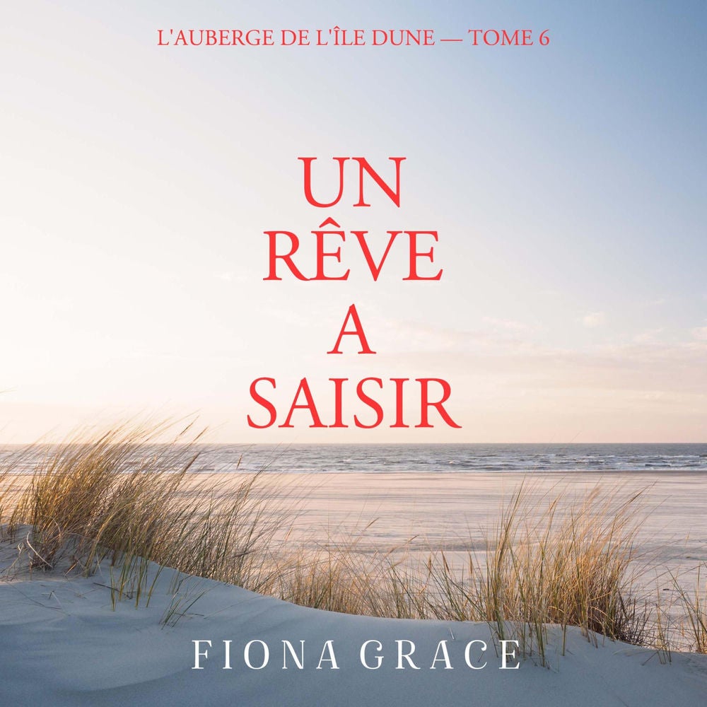 Un Rêve a Saisir (L'auberge de l'île Dune — Tome 6)