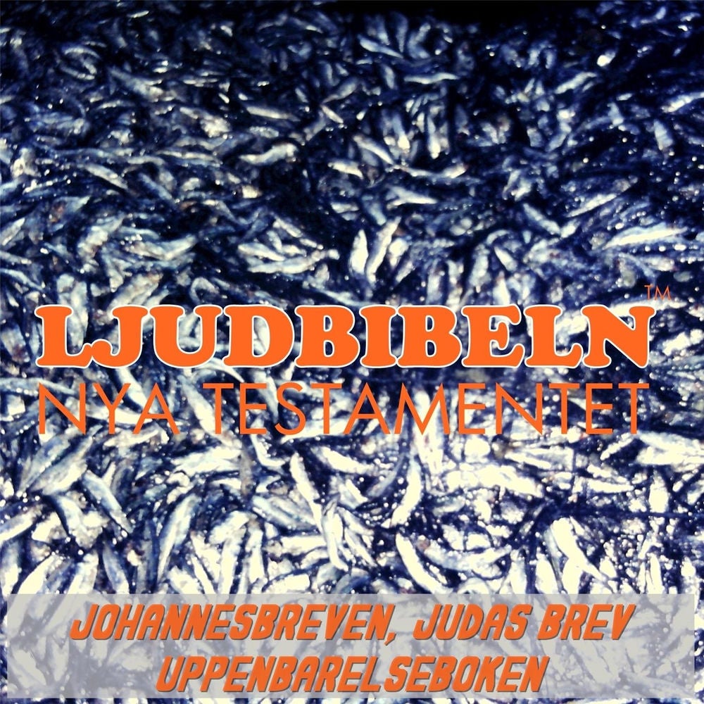 Johannesbreven, Judas Brev, Uppenbarelseboken